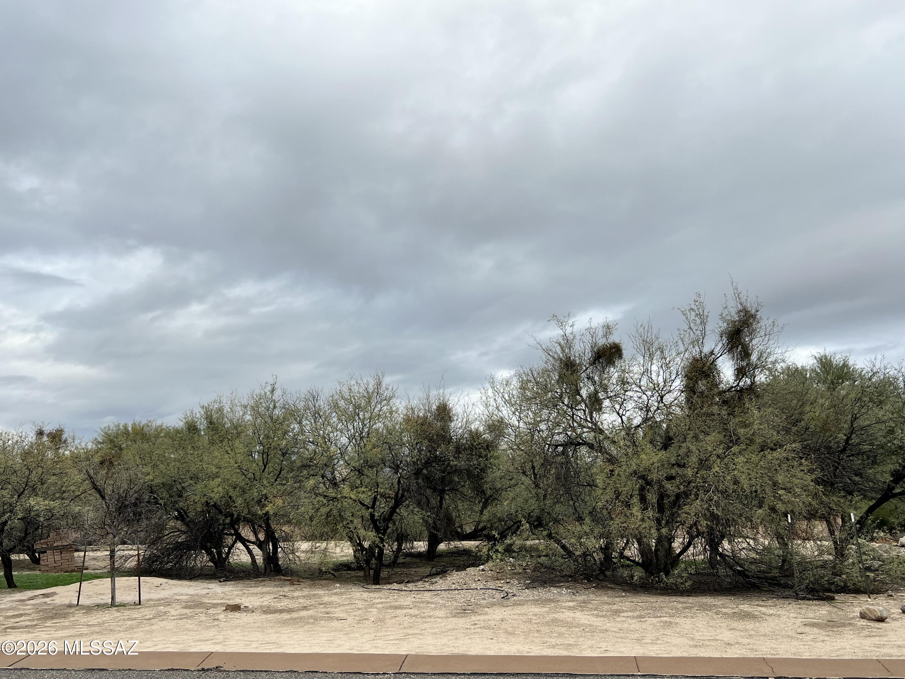 River Forest (1-20) - Land