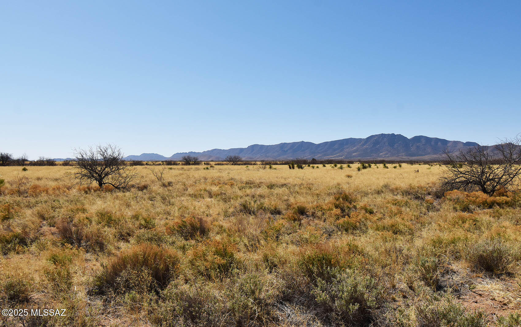 Arizona Sun Sites - Land