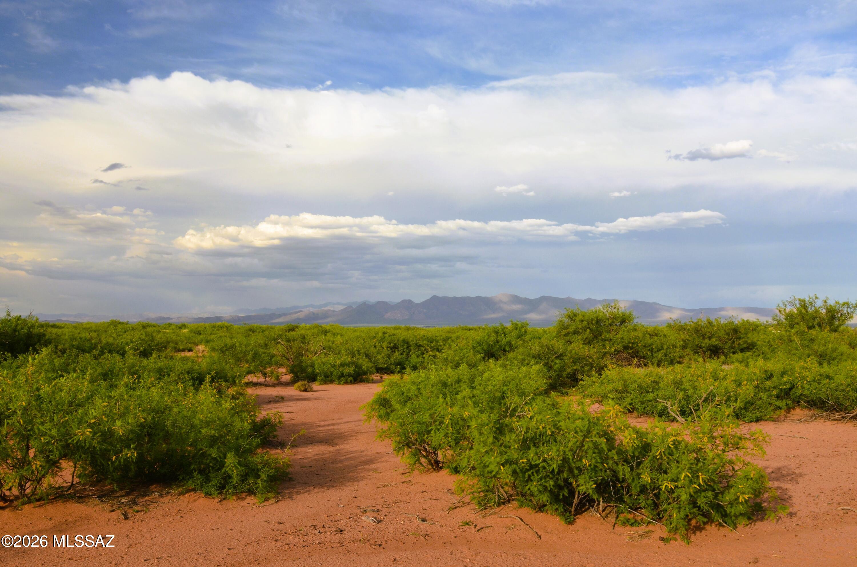 Tombstone Valley Ranches - Land