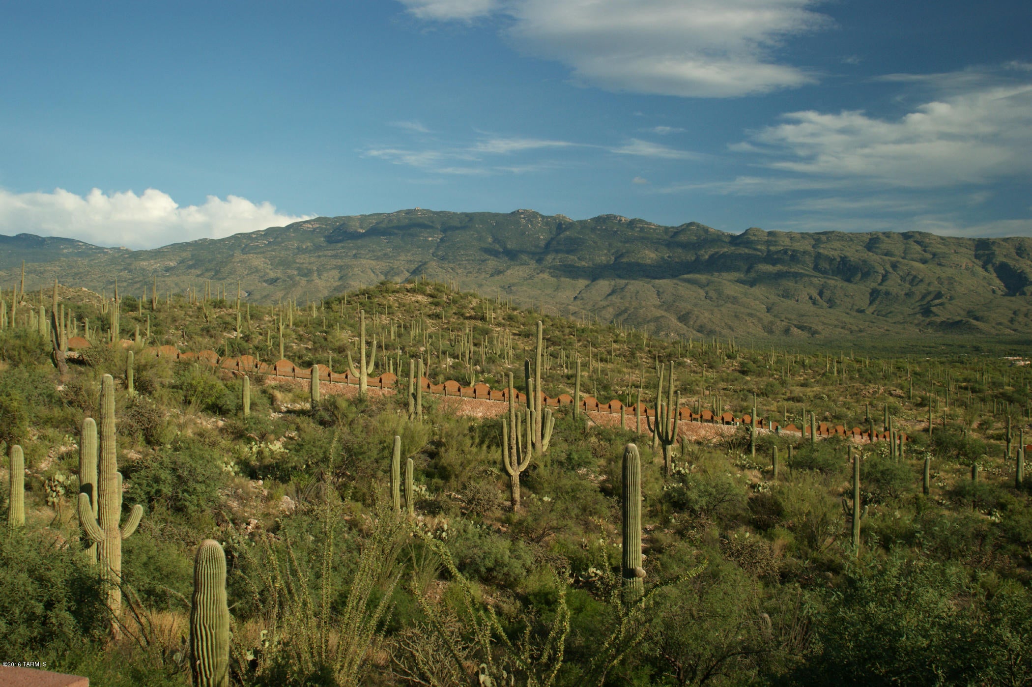 Rinconado Estates (1-13) - Land