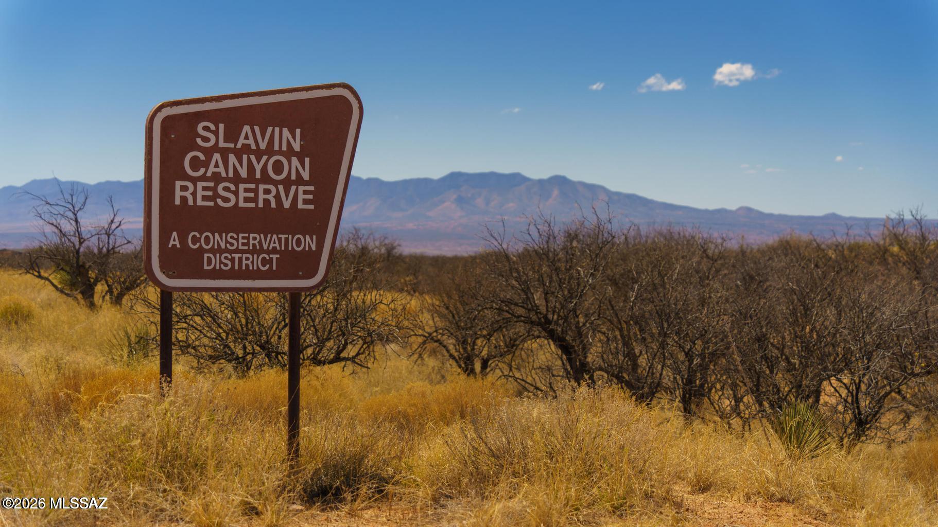 Dragoon Mountain Ranch - Residential