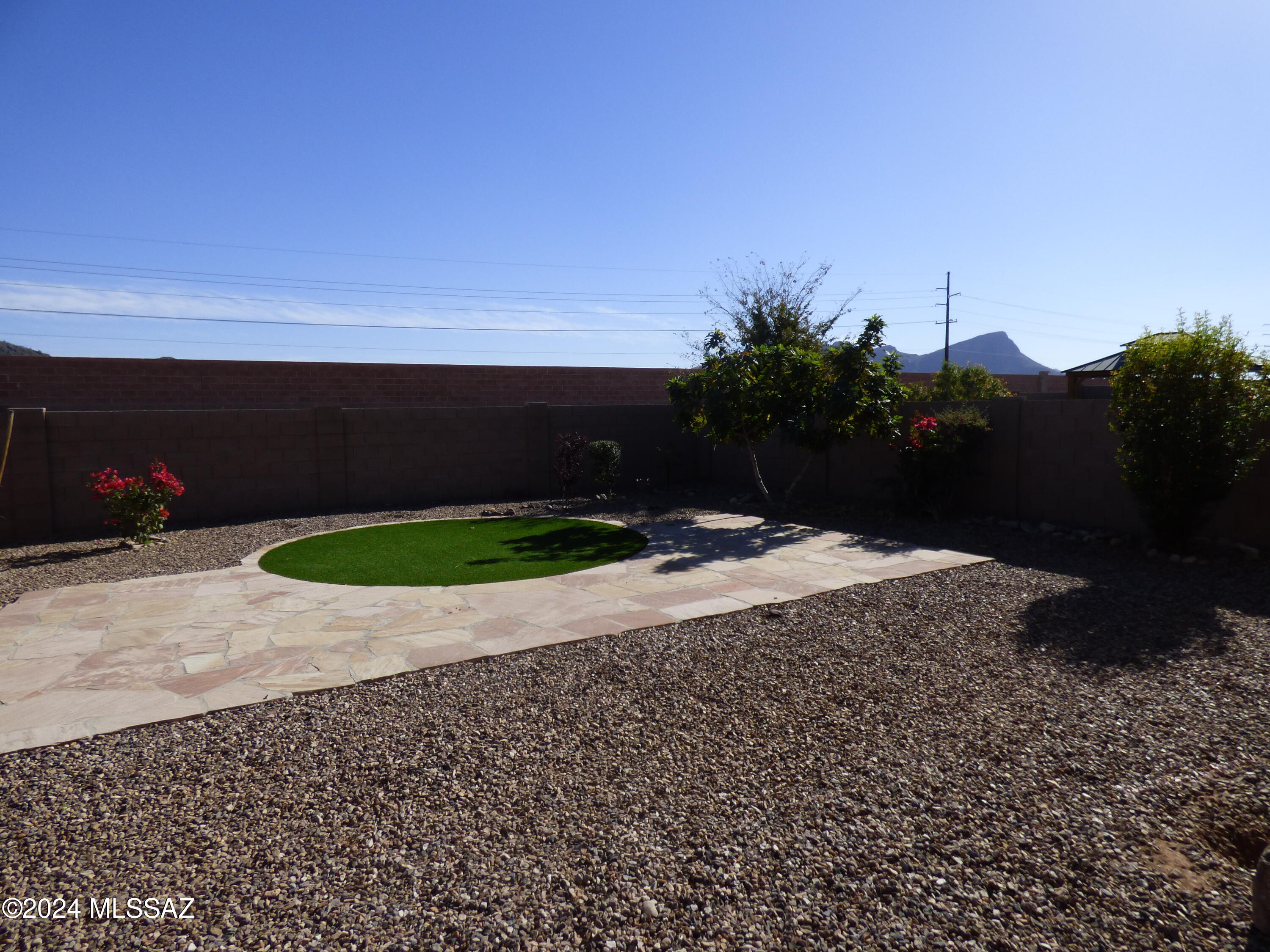Saguaro Bloom - Residential Lease