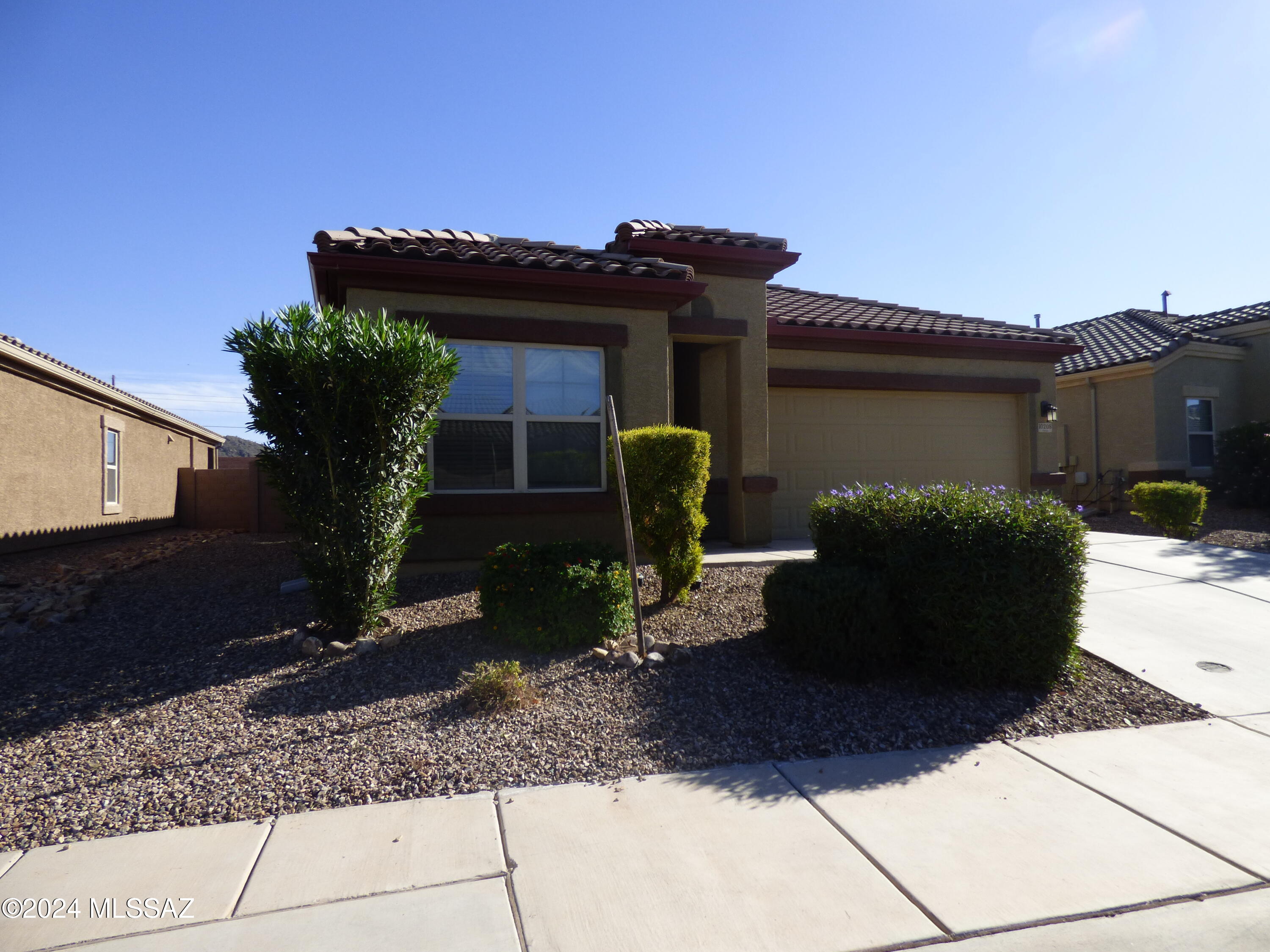 Saguaro Bloom - Residential Lease
