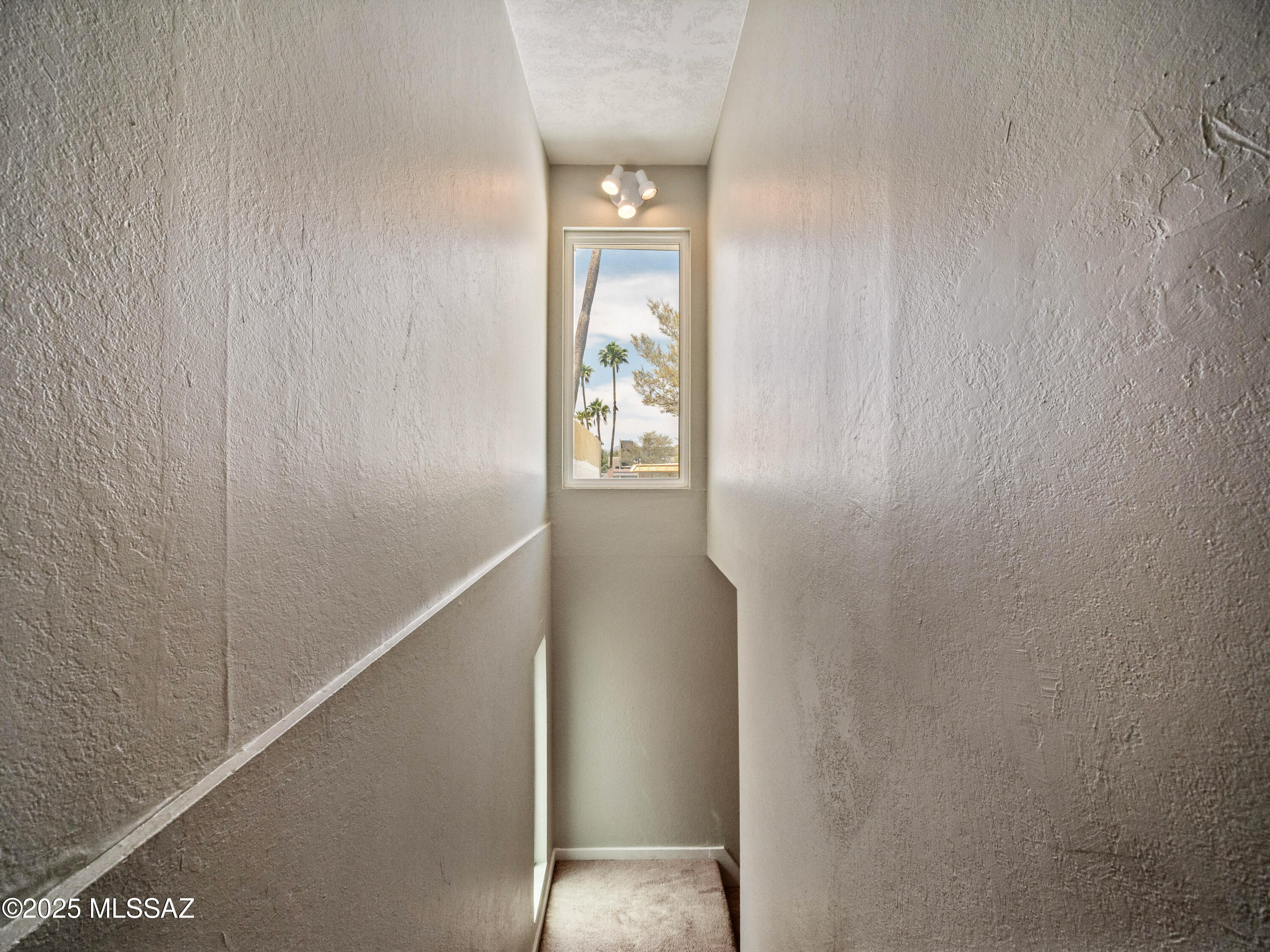 Valle Cereza (1-59) - Residential
