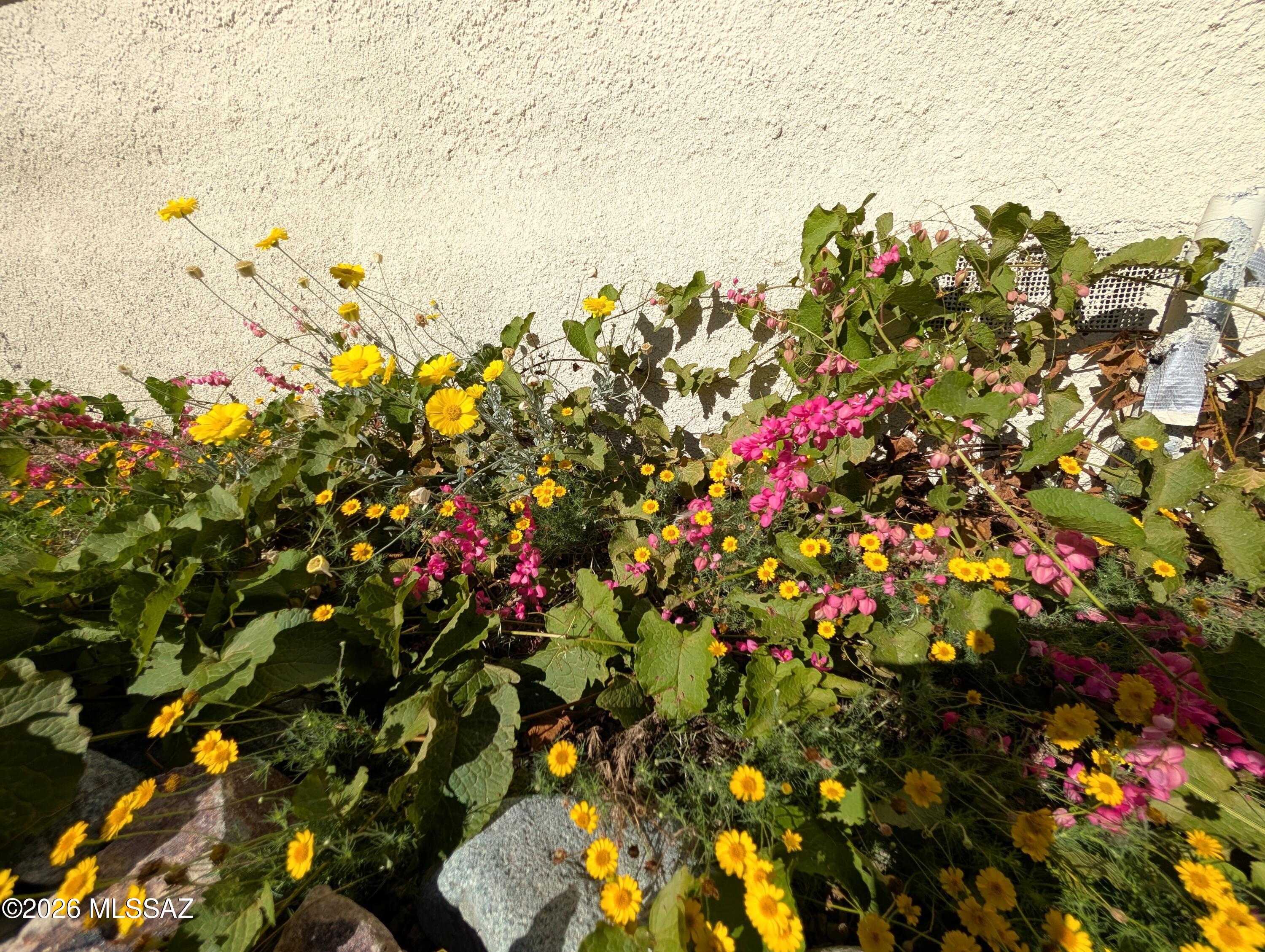 City Of Tucson - Residential