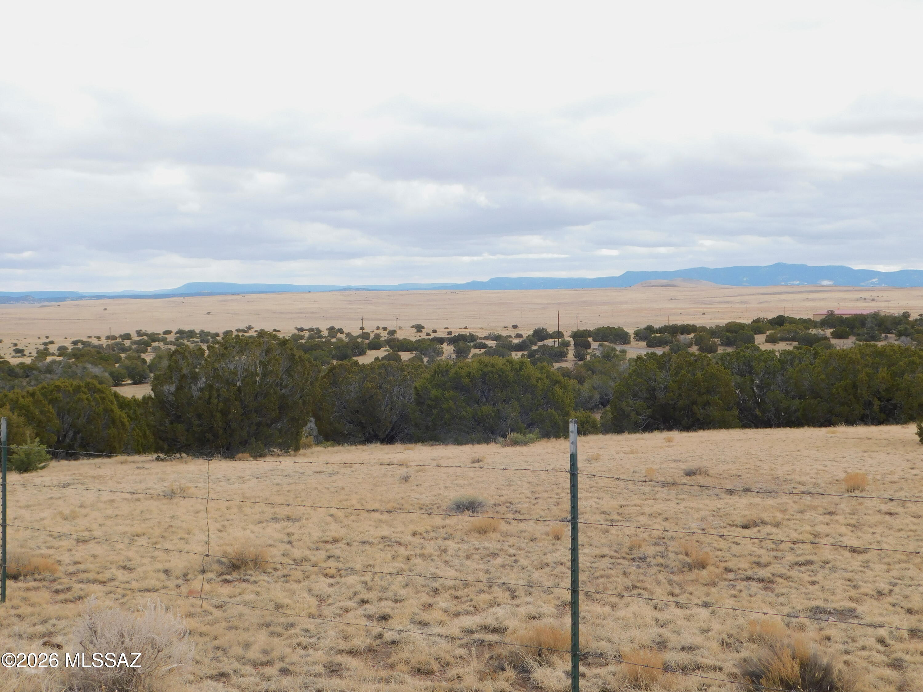 Out Of Pima County - Land