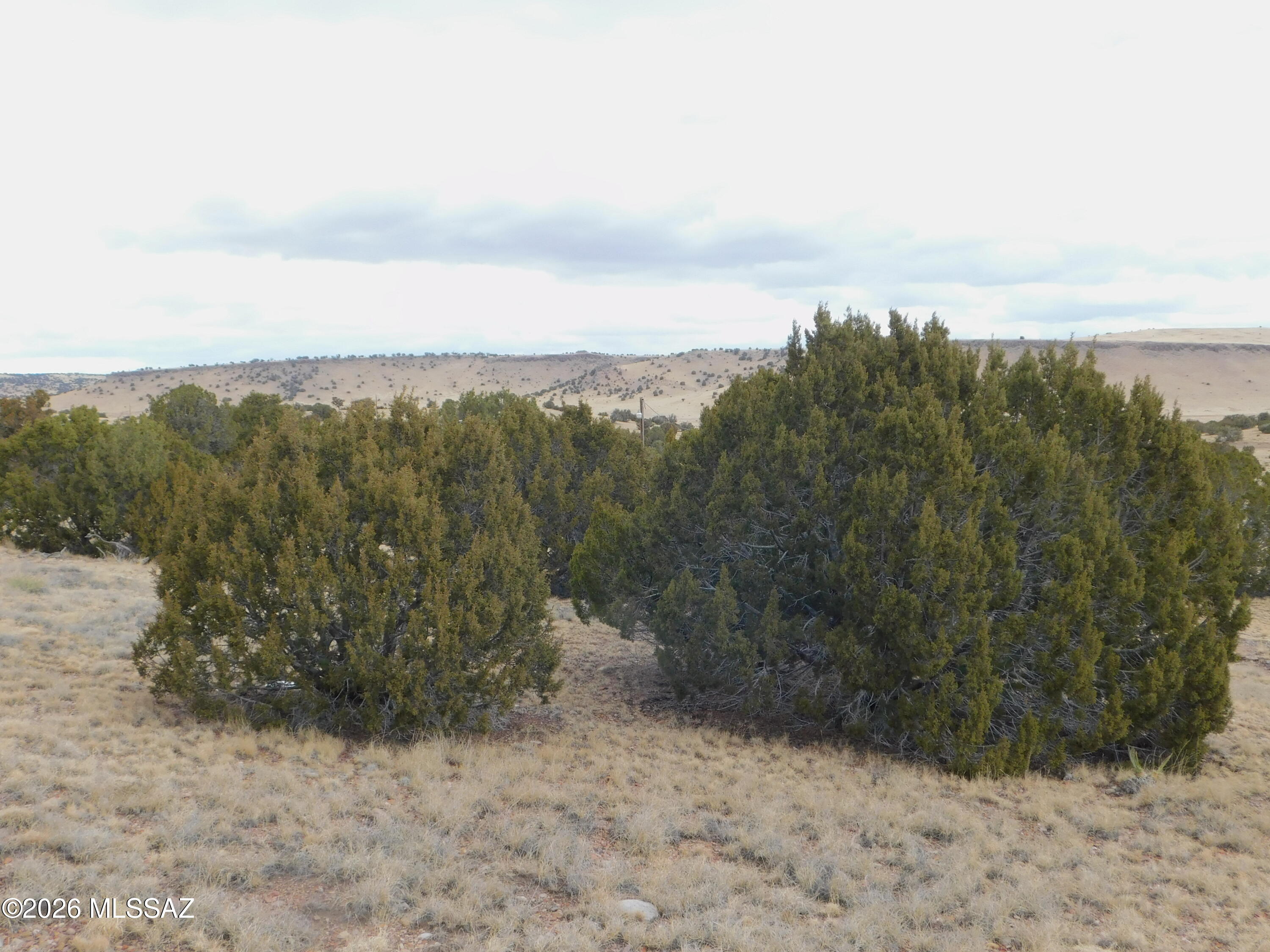 Out Of Pima County - Land