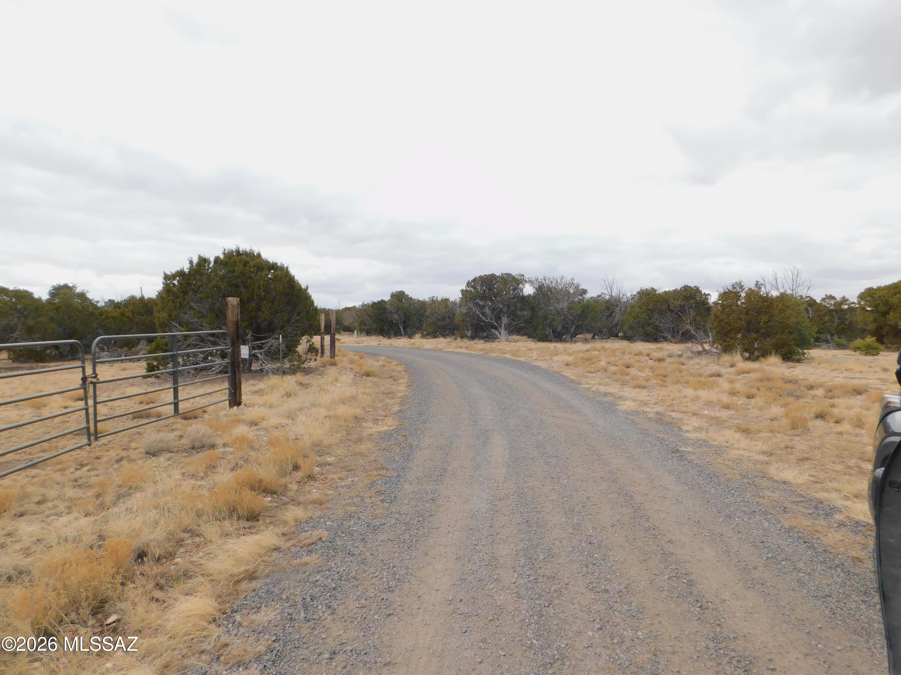Out Of Pima County - Land