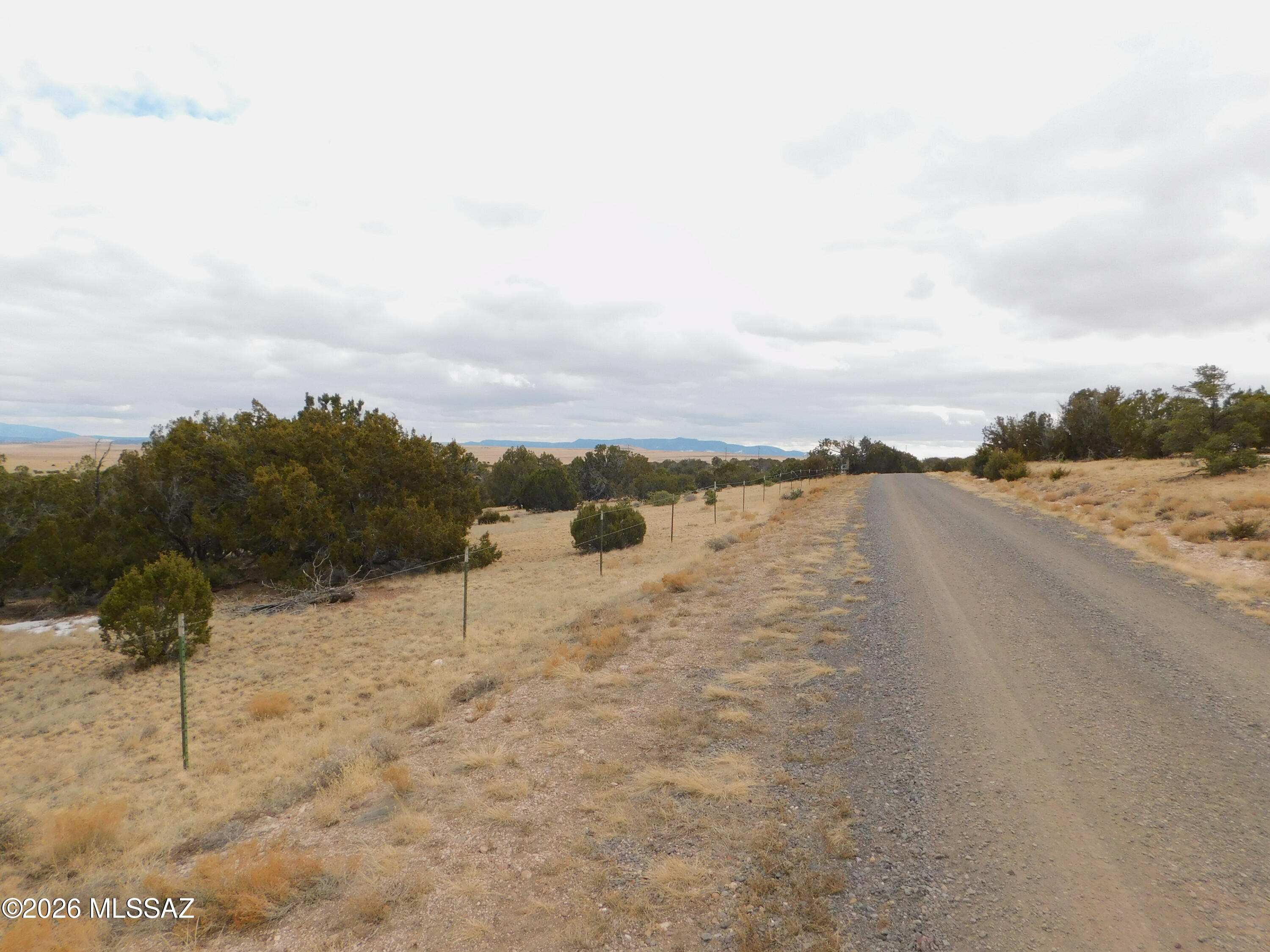 Out Of Pima County - Land