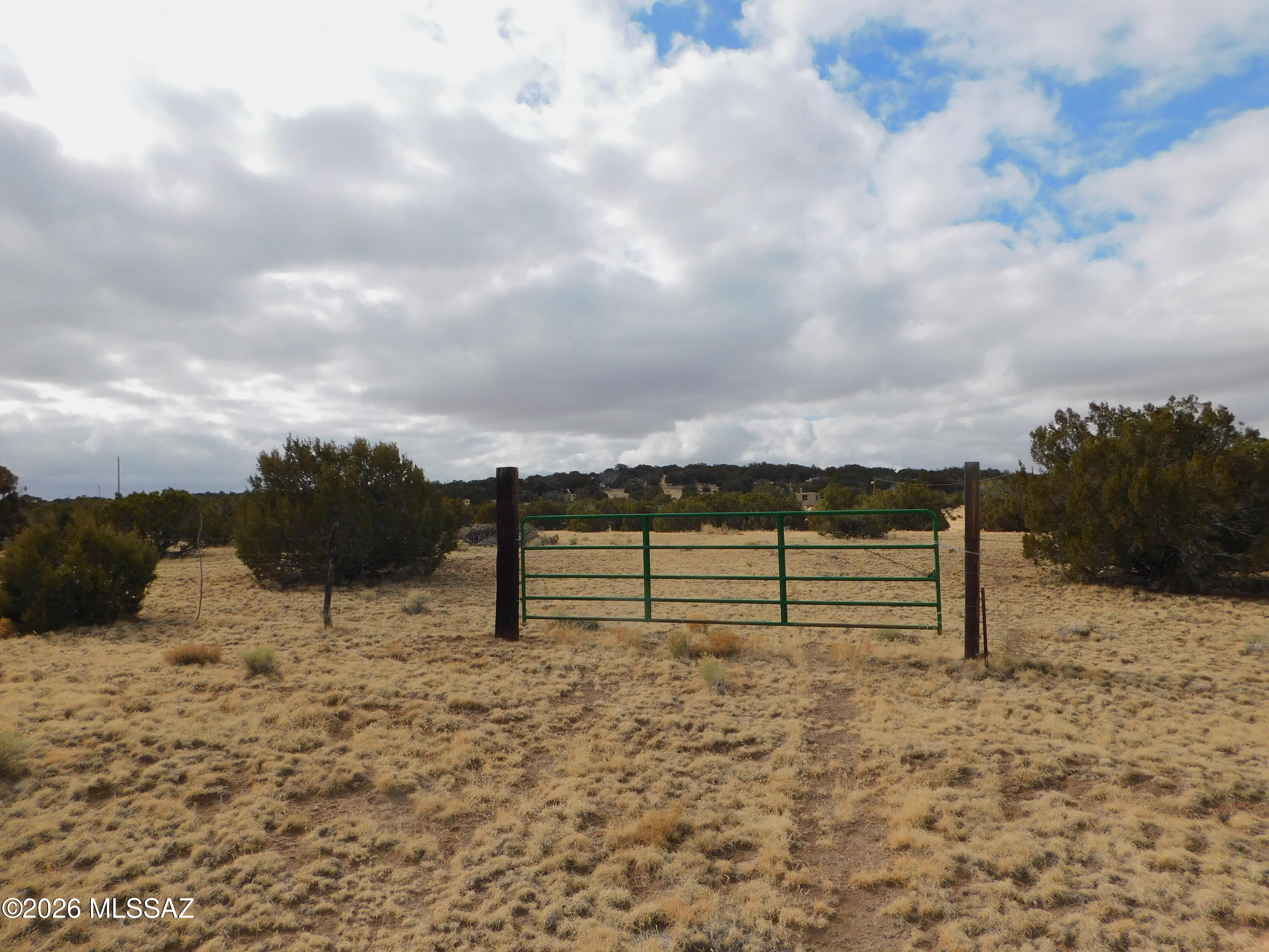 Out Of Pima County - Land