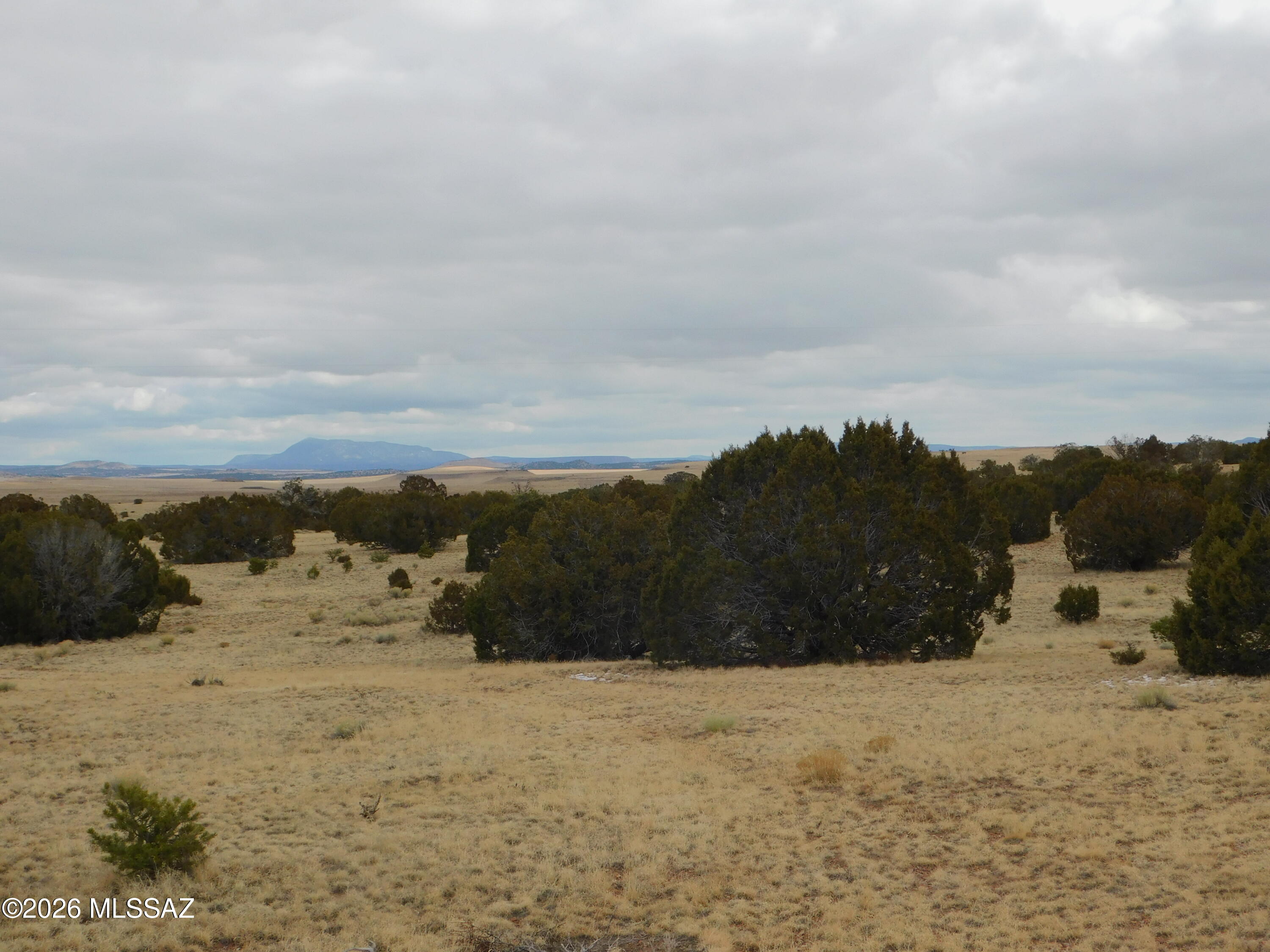 Out Of Pima County - Land