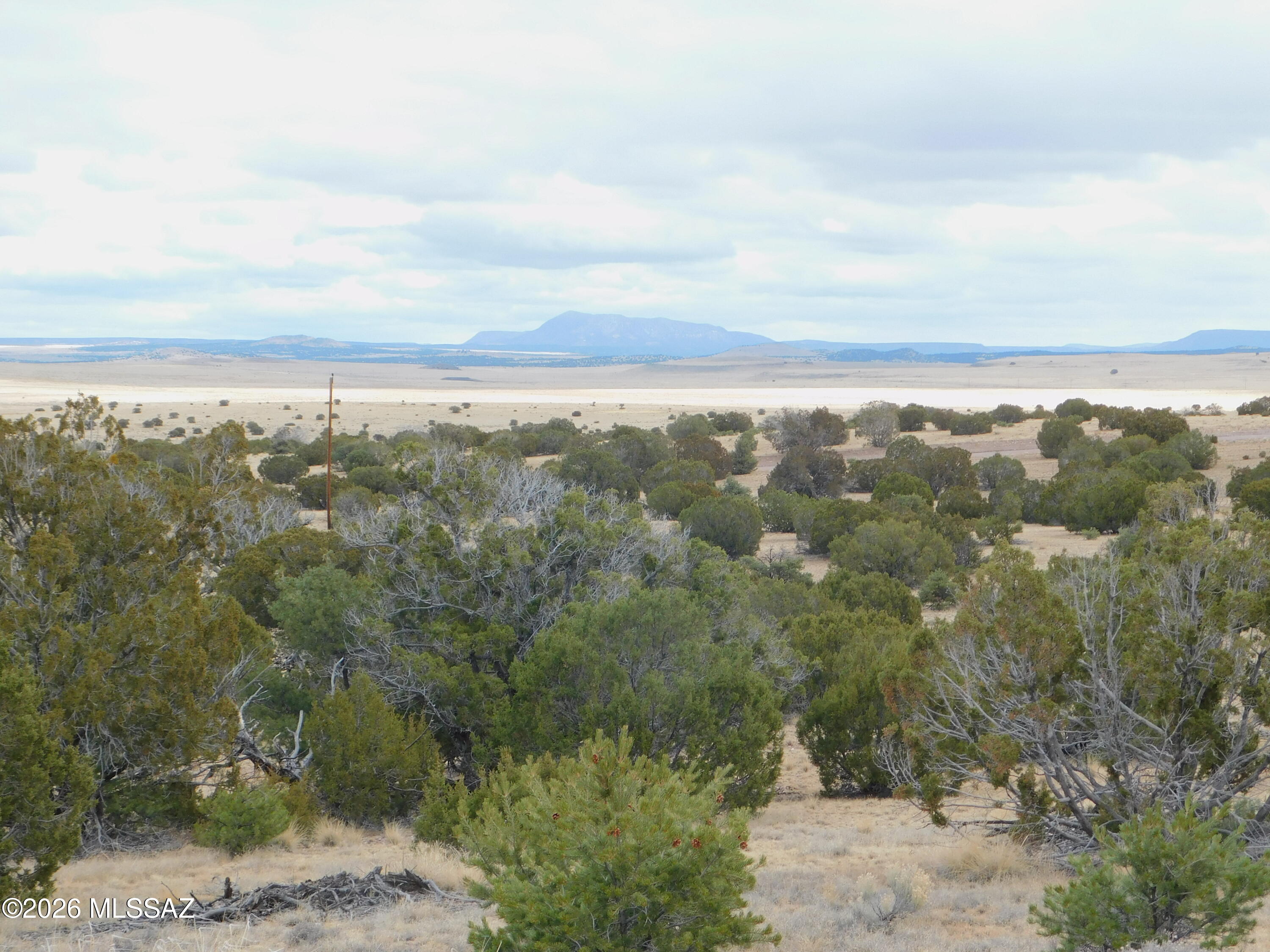 Out Of Pima County - Land