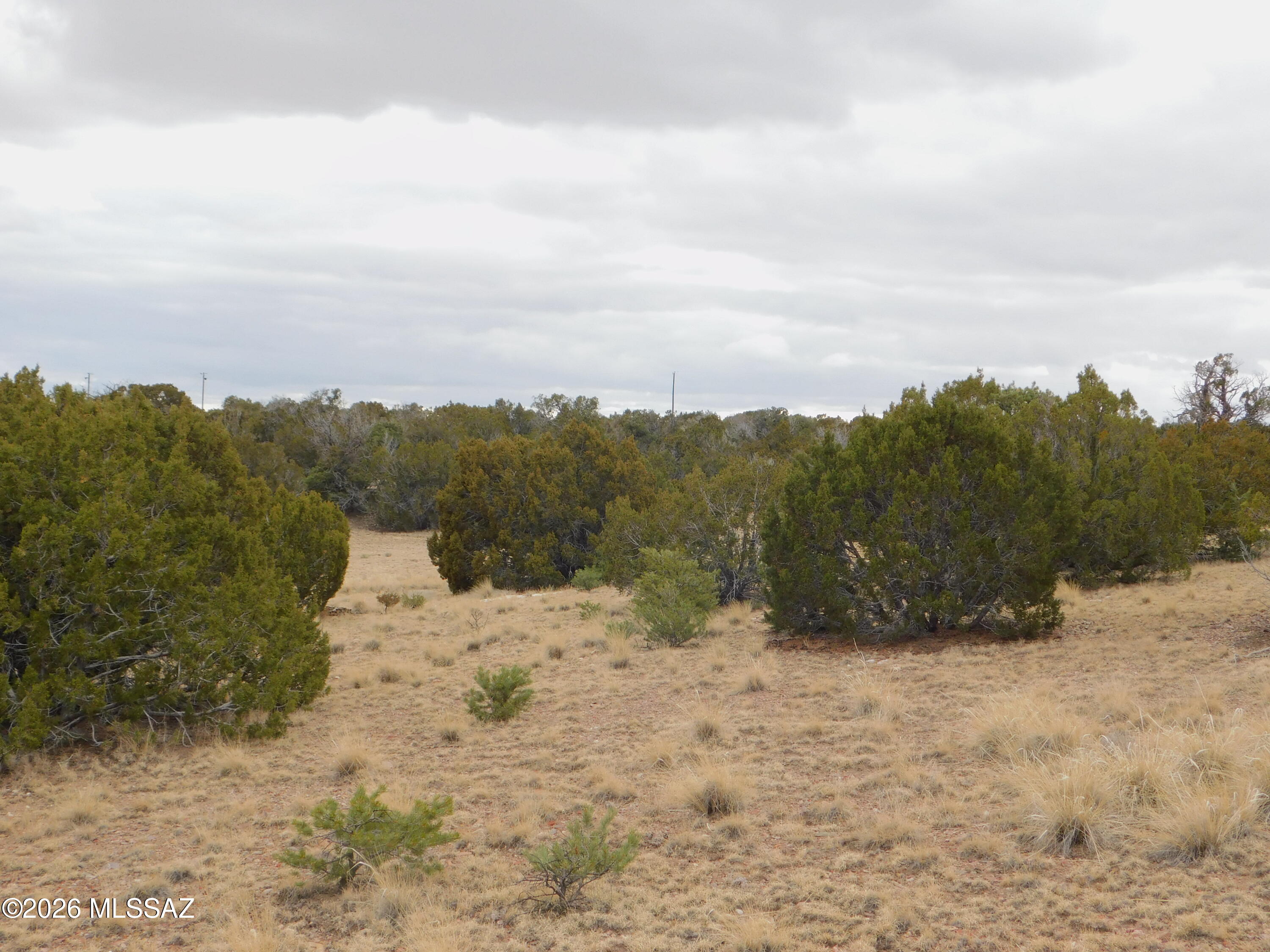 Out Of Pima County - Land