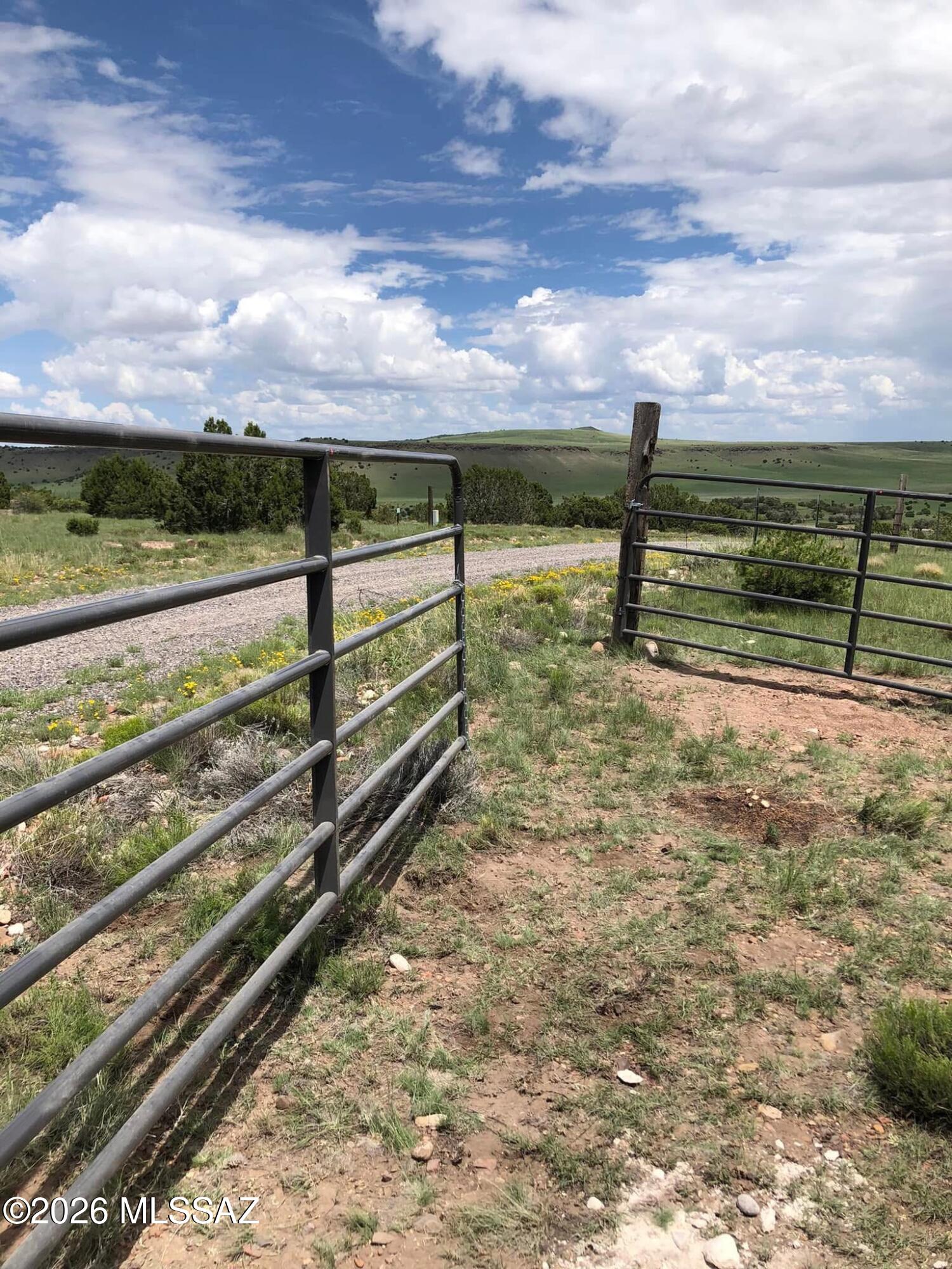Out Of Pima County - Land