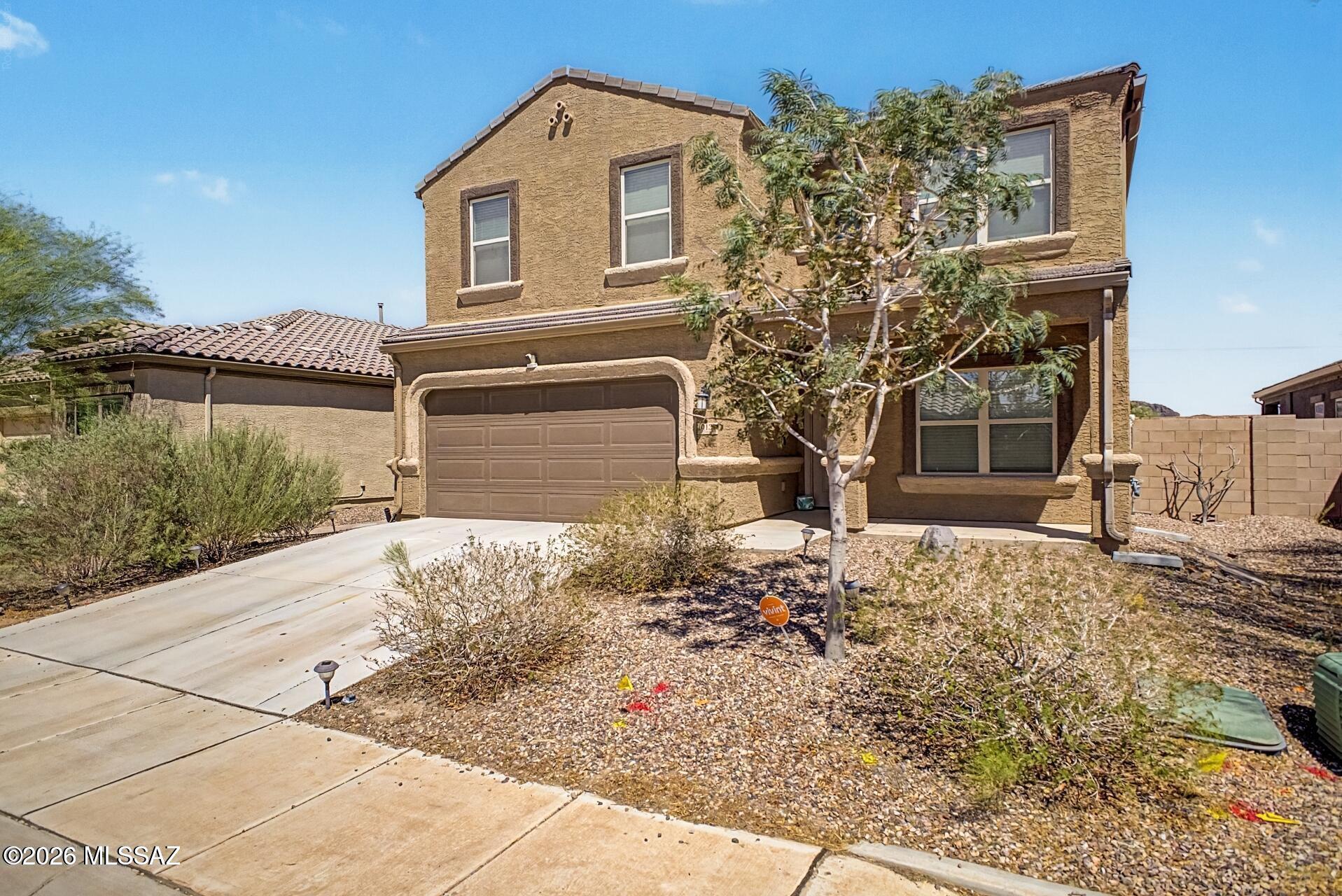 Saguaro Bloom - Residential