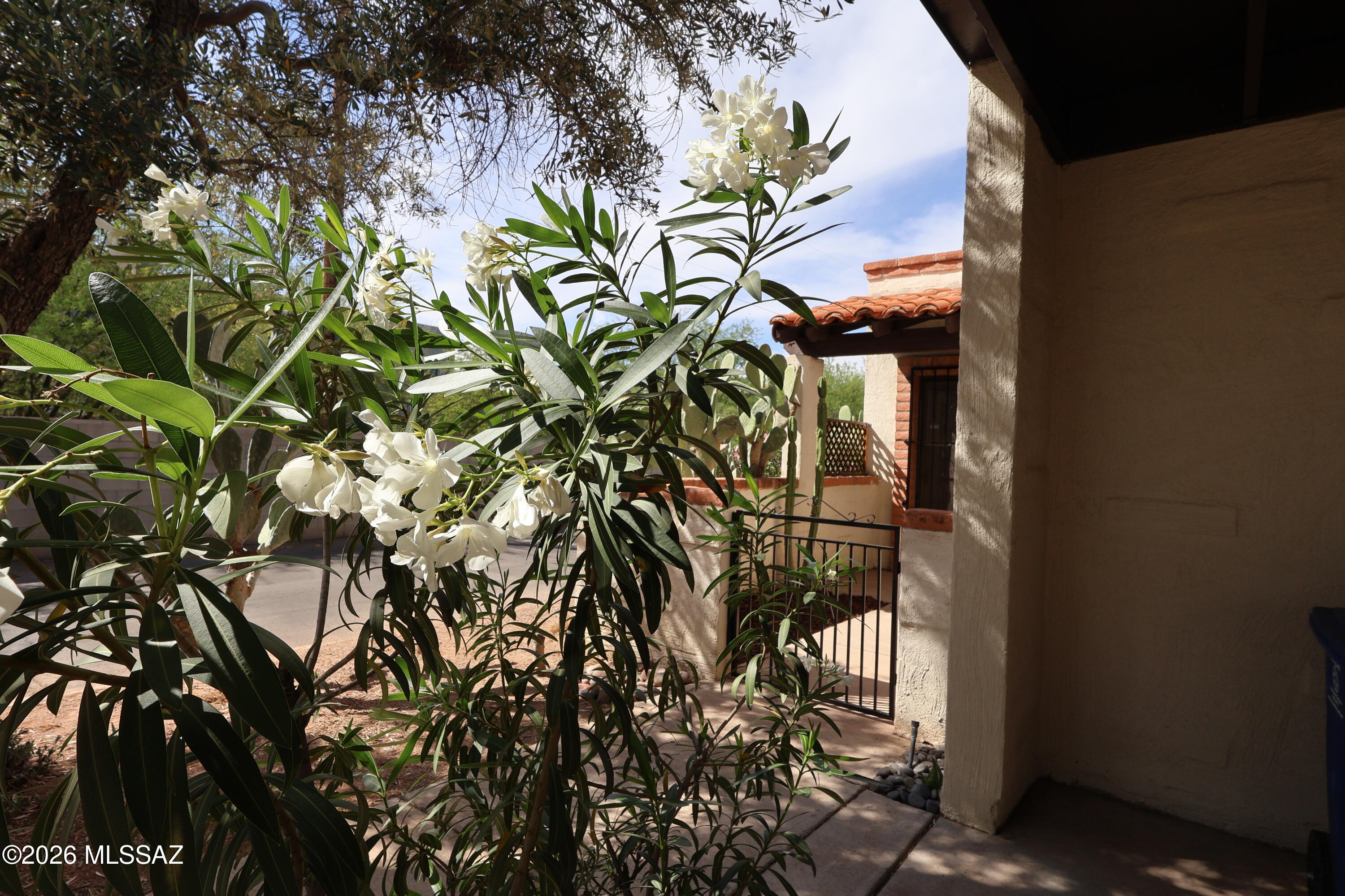 Limberlost Villas Townhouses (1-40) - Residential