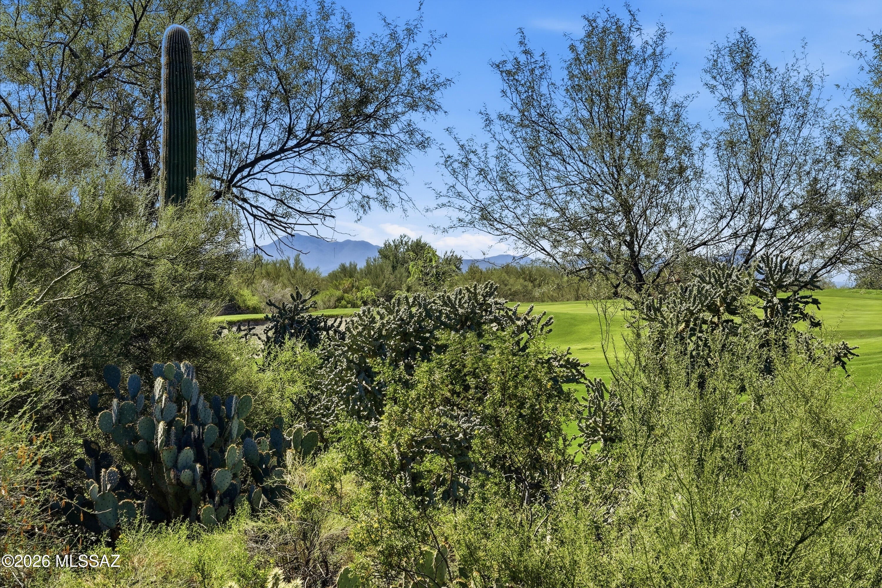 Golf Villas at Solana - Residential