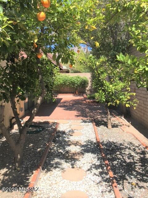 Catalina Del Rey (1-179) - Residential Lease