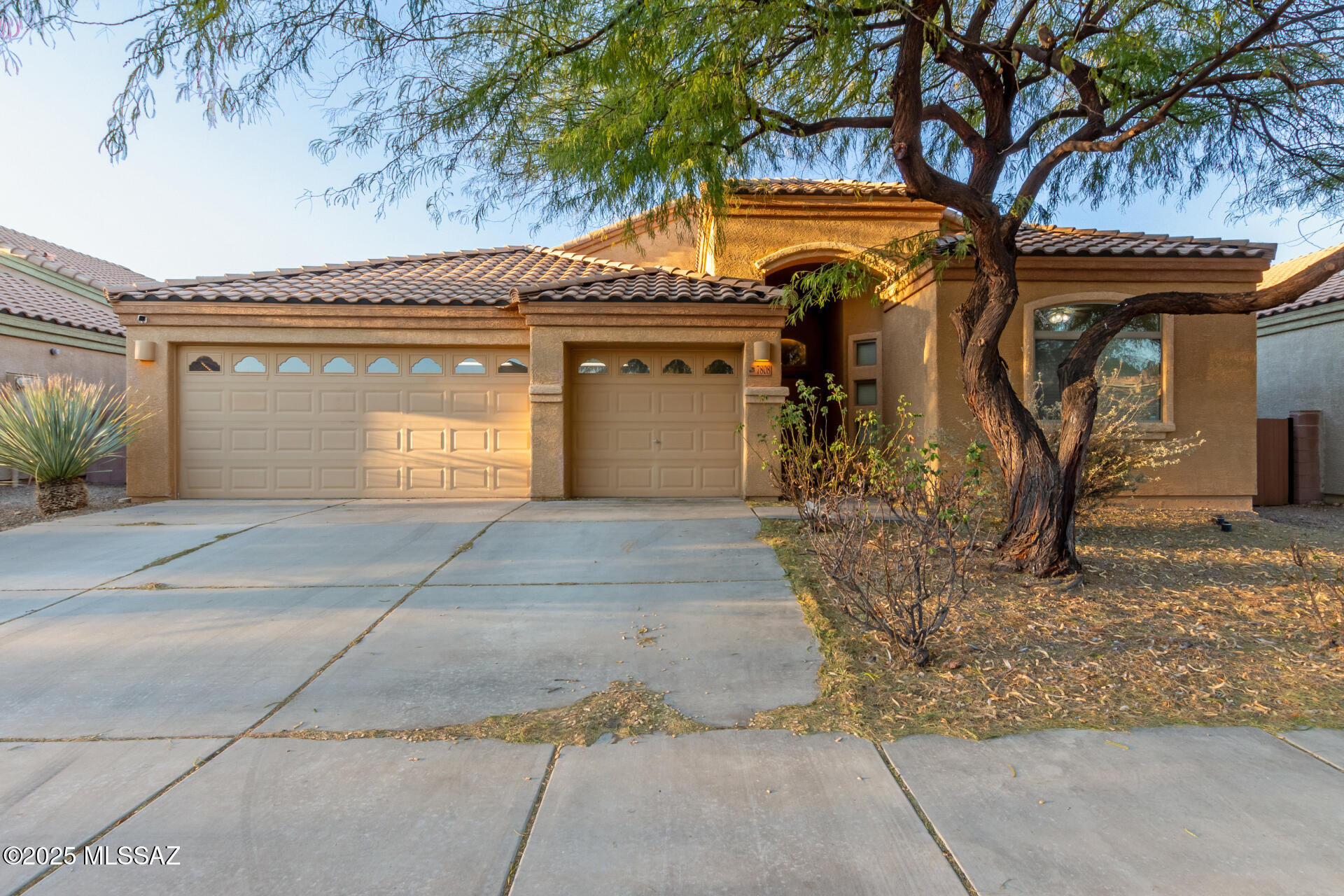 Sycamore Park Village 6 (1-81) - Residential Lease