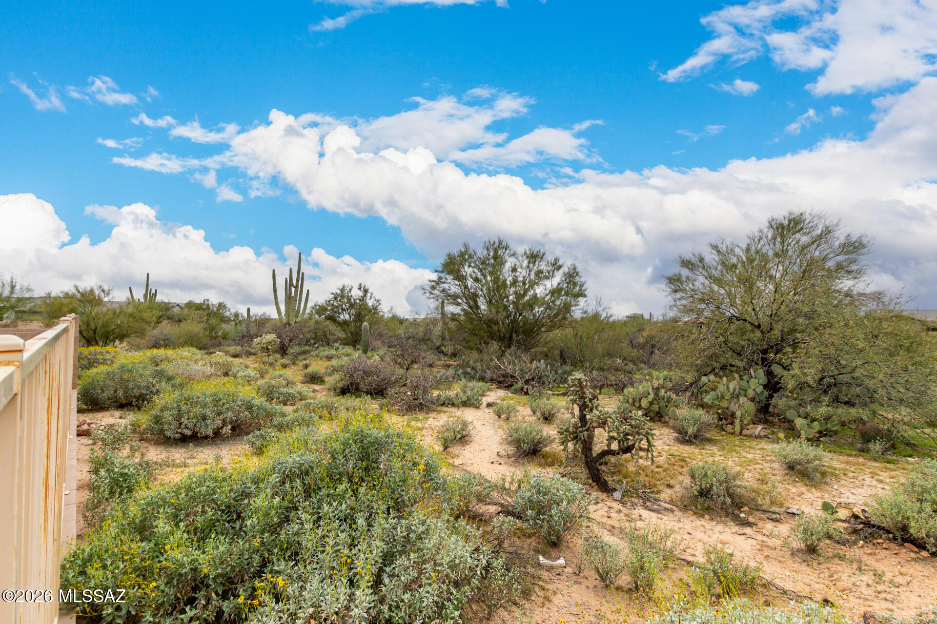 Saguaros Viejos East Phase 1 - Residential