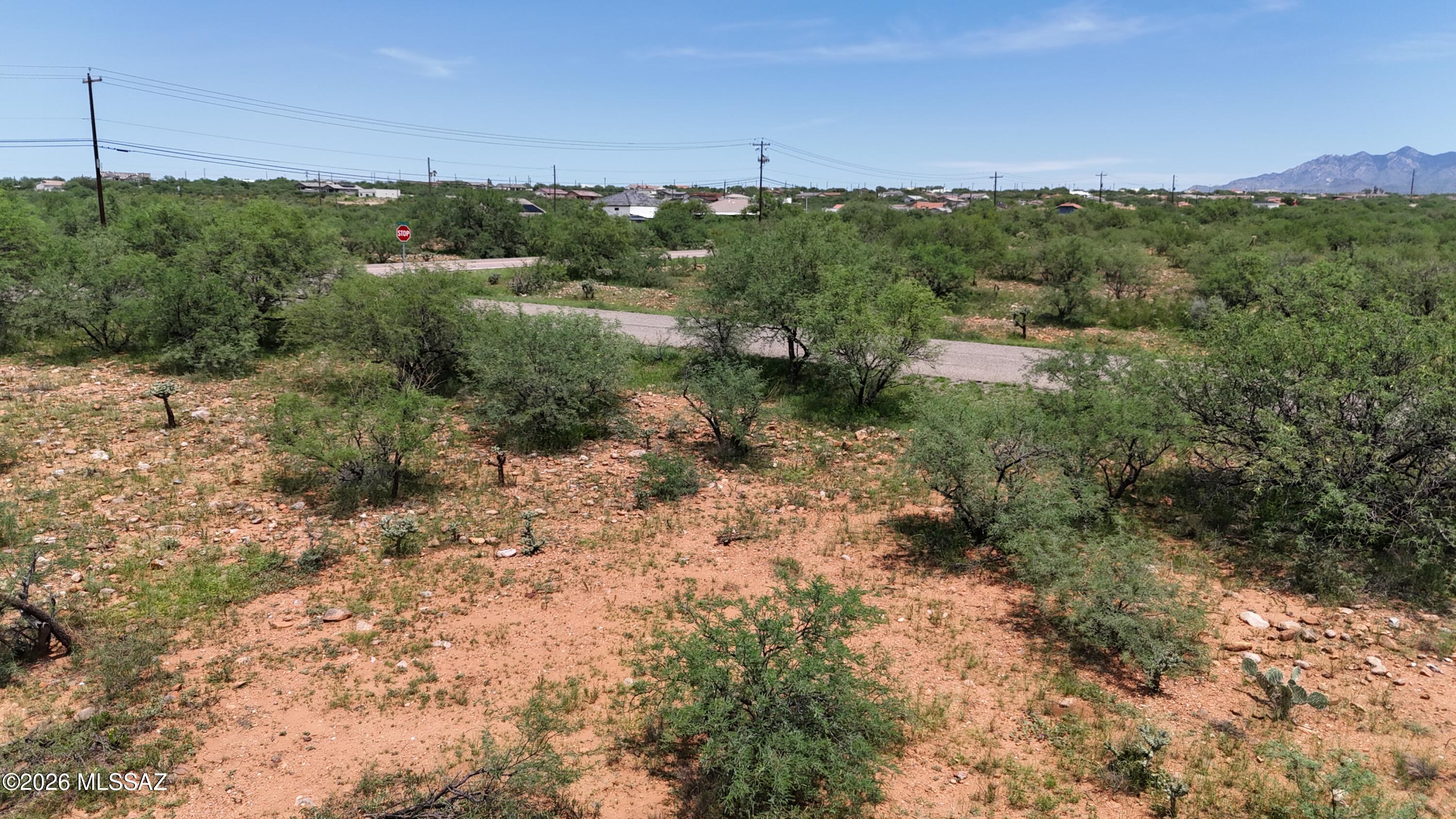 Rio Rico Estates 16 - Land