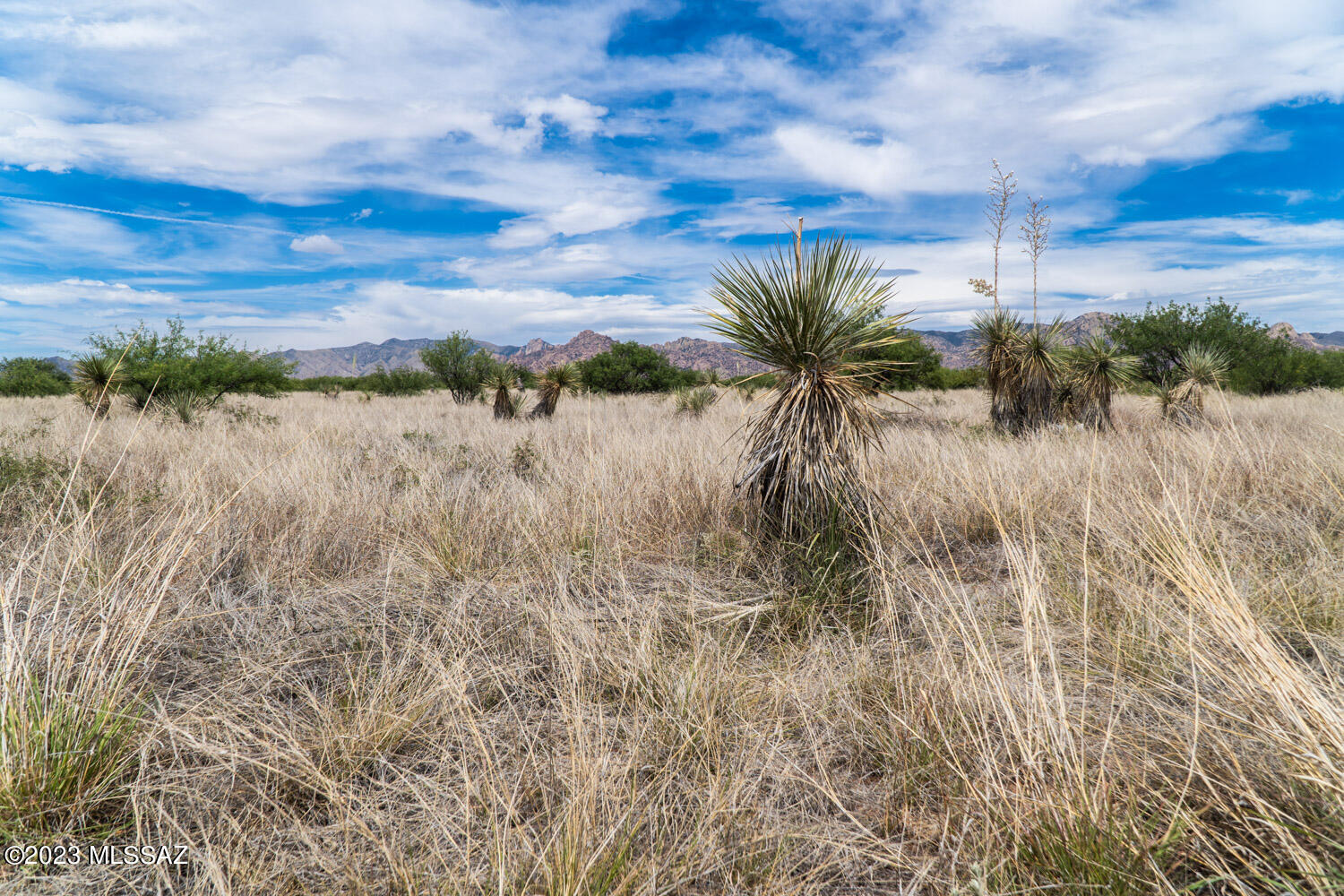 Dragoon Mountain Ranch - Land