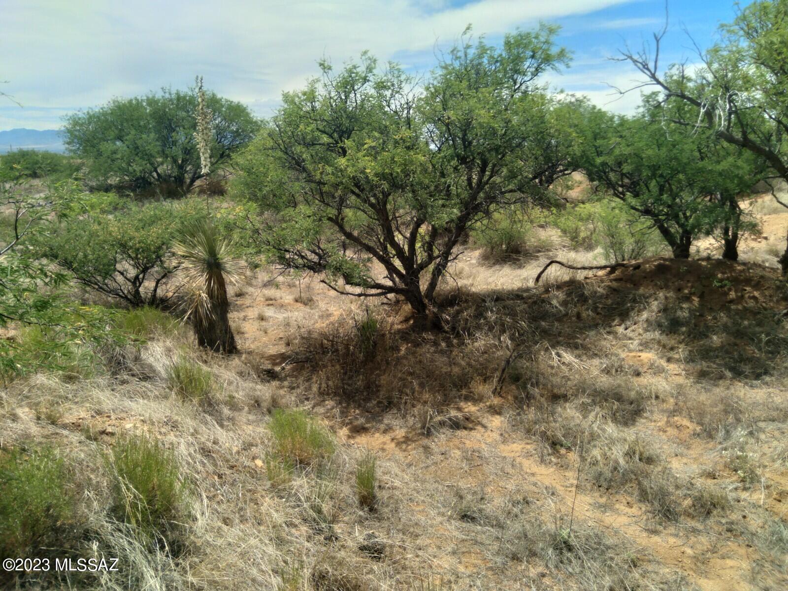 Dragoon Mountain Ranch - Land