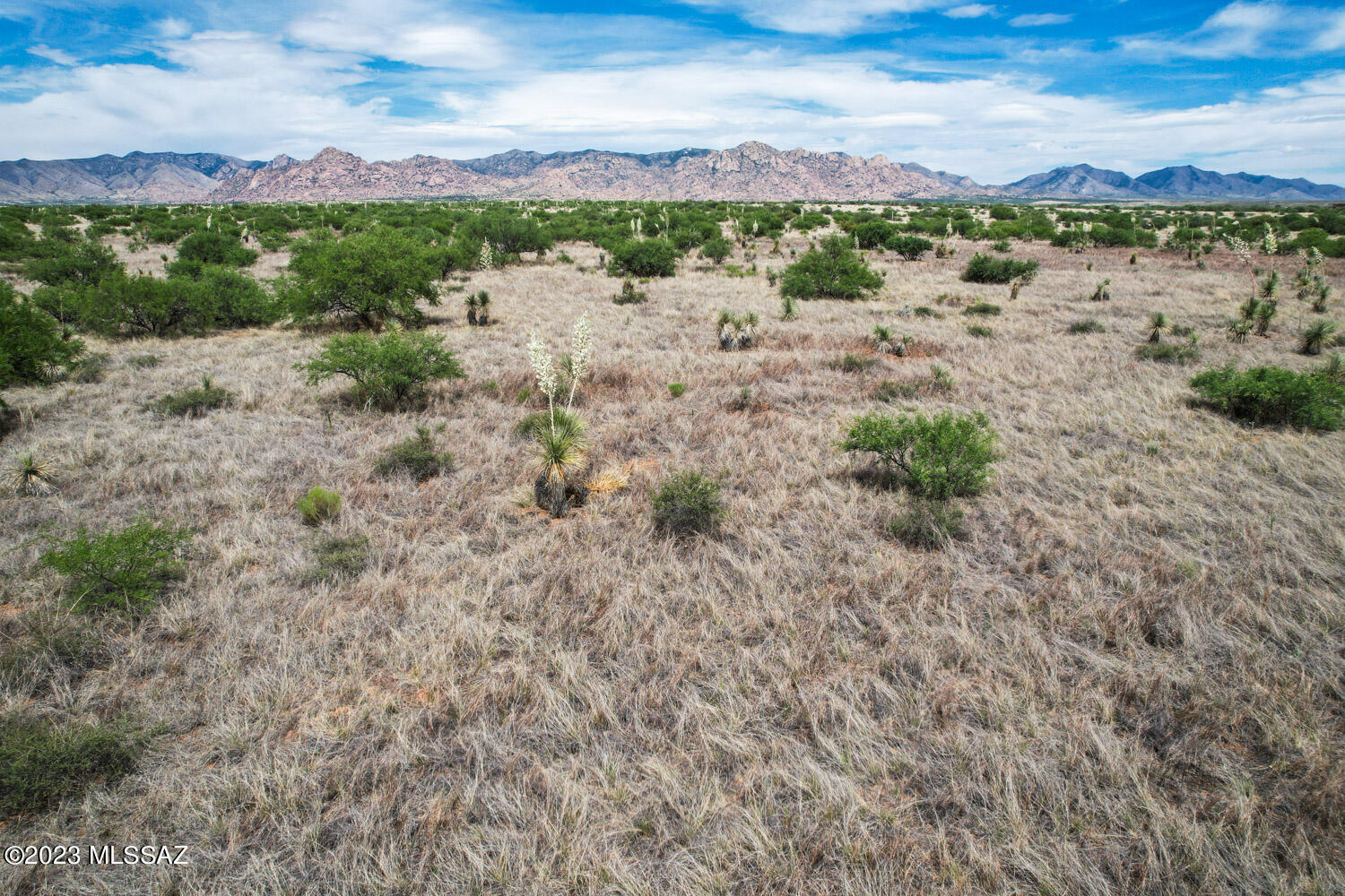 Dragoon Mountain Ranch - Land