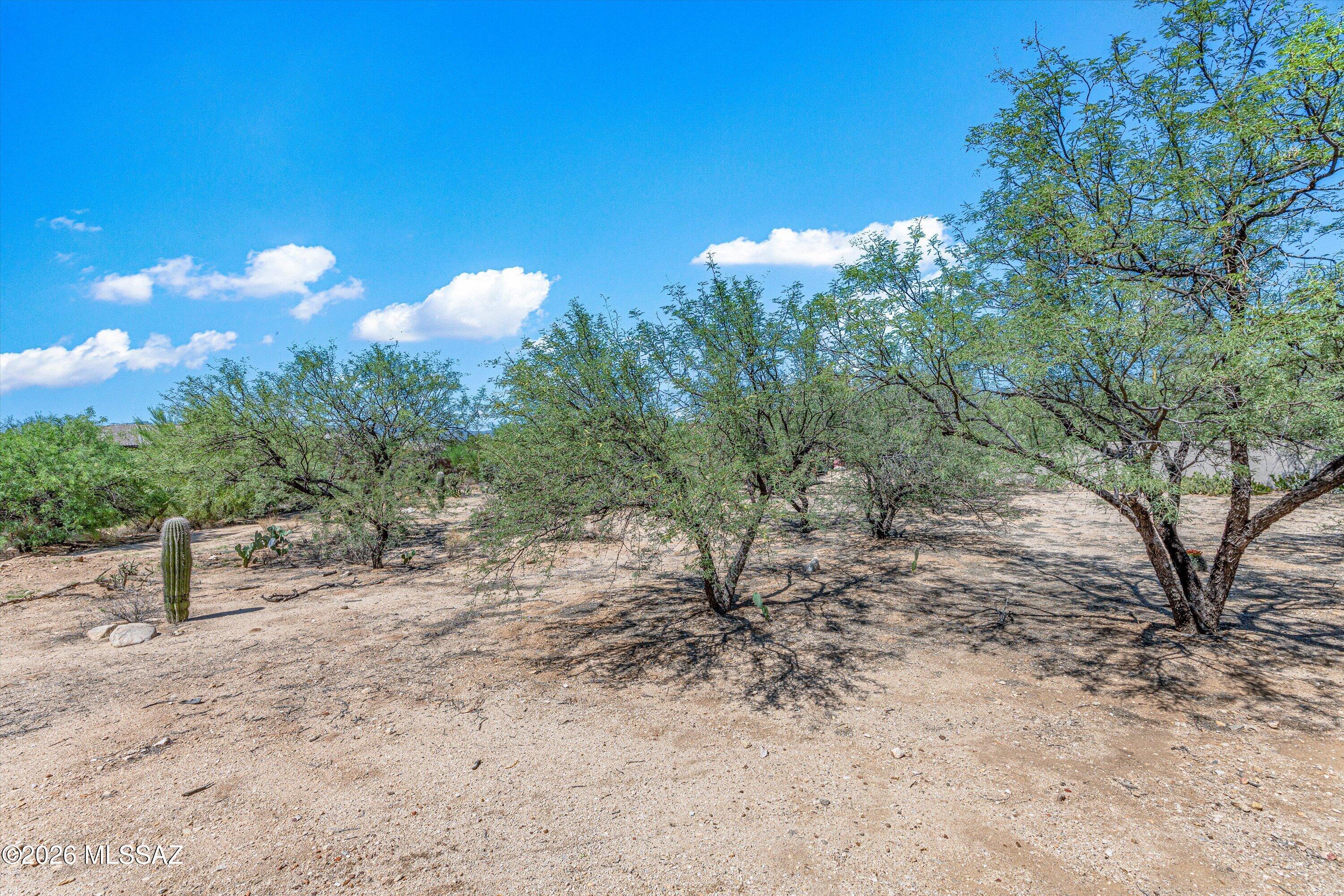 Pusch Ridge Estates (1-65) - Residential