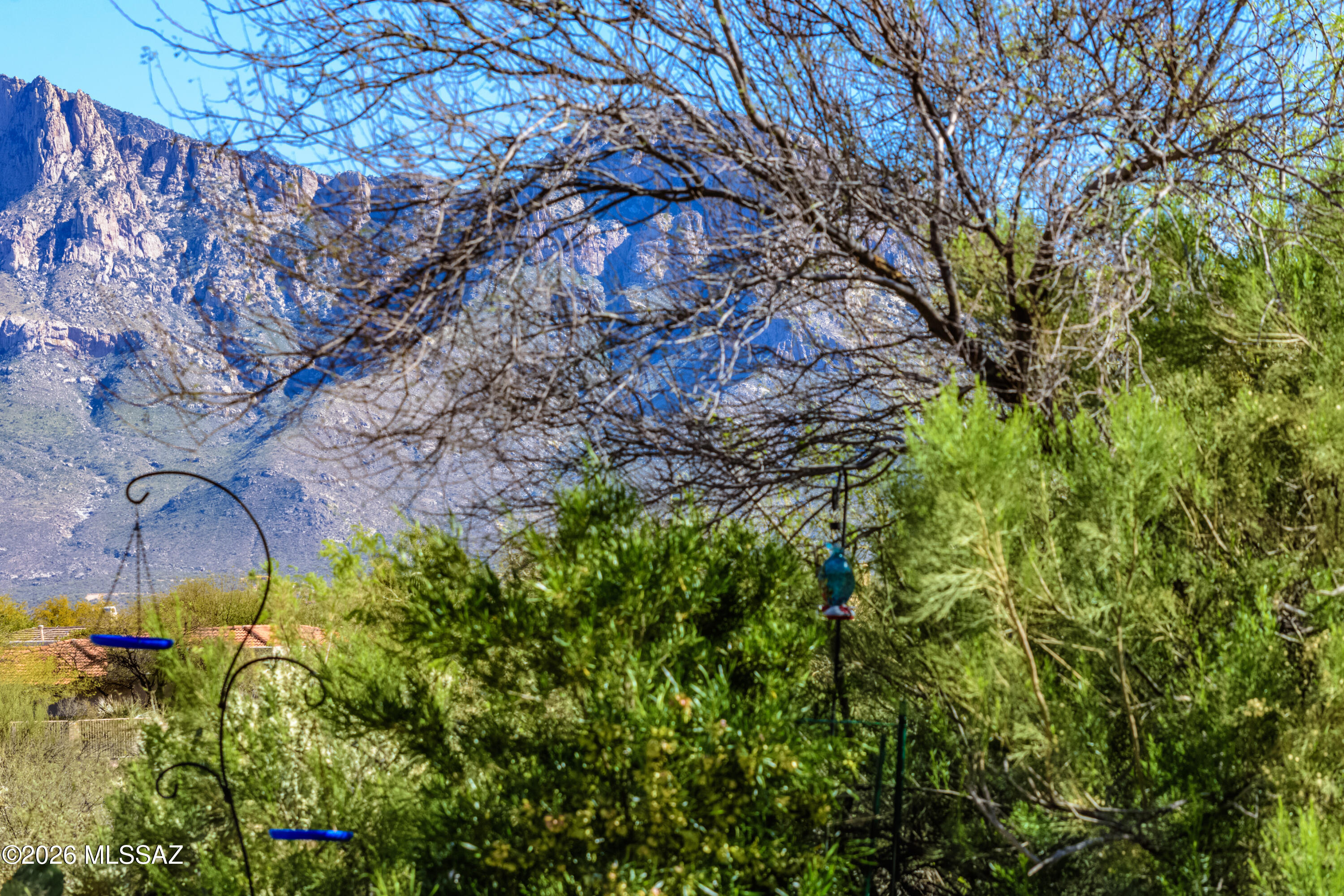Rancho Vistoso Neighborhood 10 - Residential