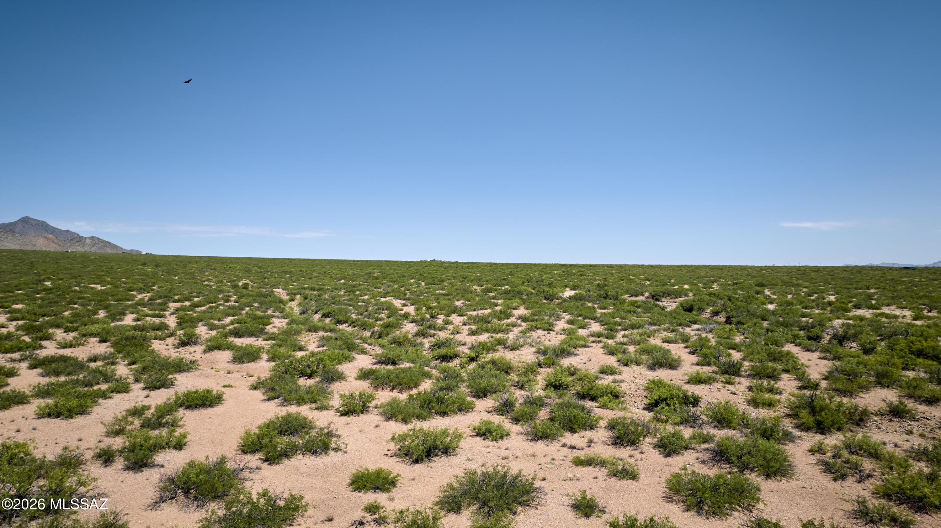 Out Of Pima County - Land
