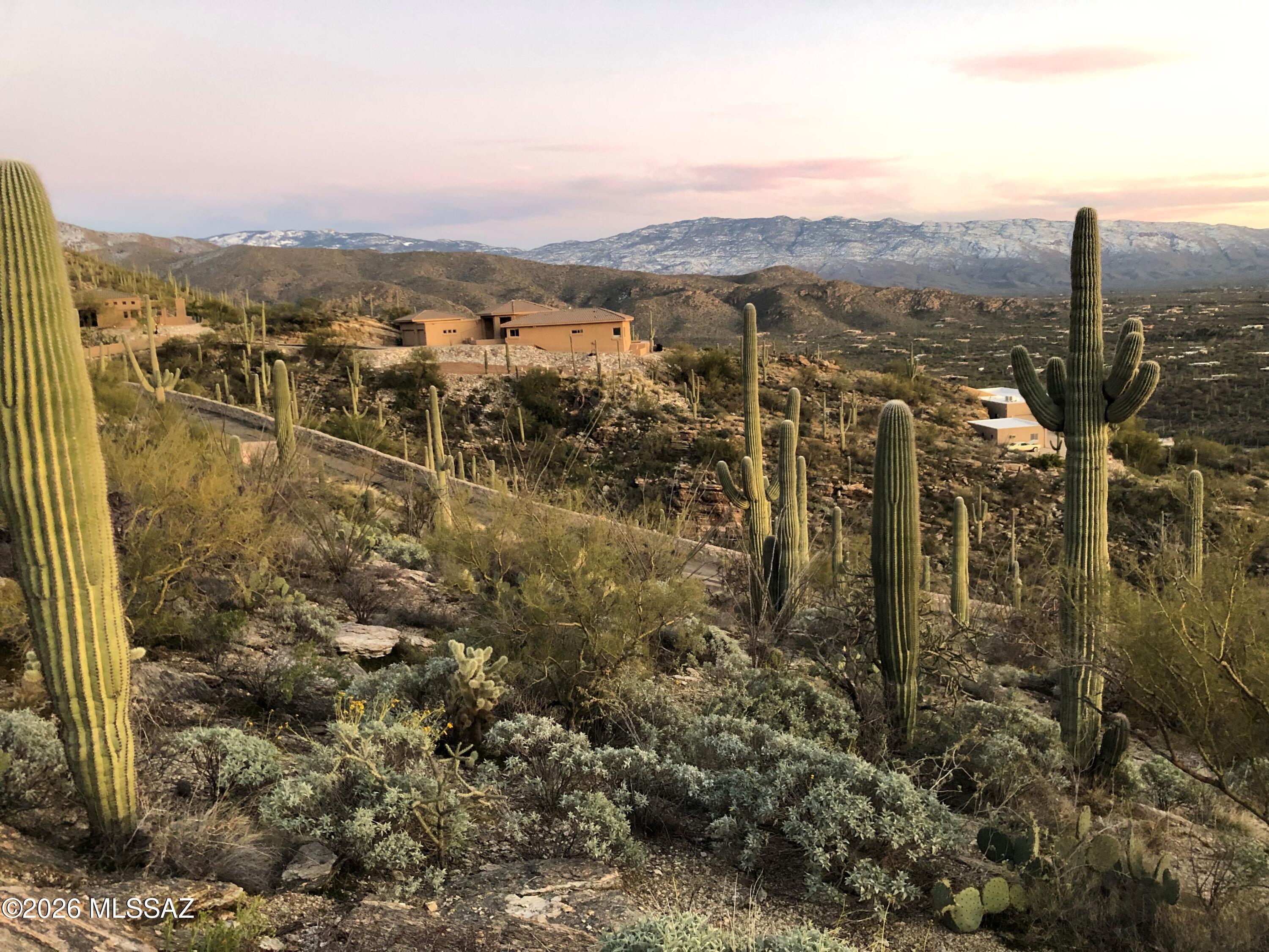 Milagrosa Hills (1-61) - Land