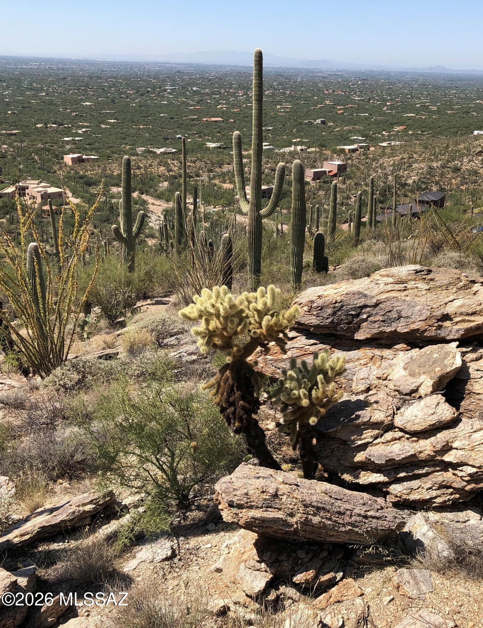 Milagrosa Hills (1-61) - Land