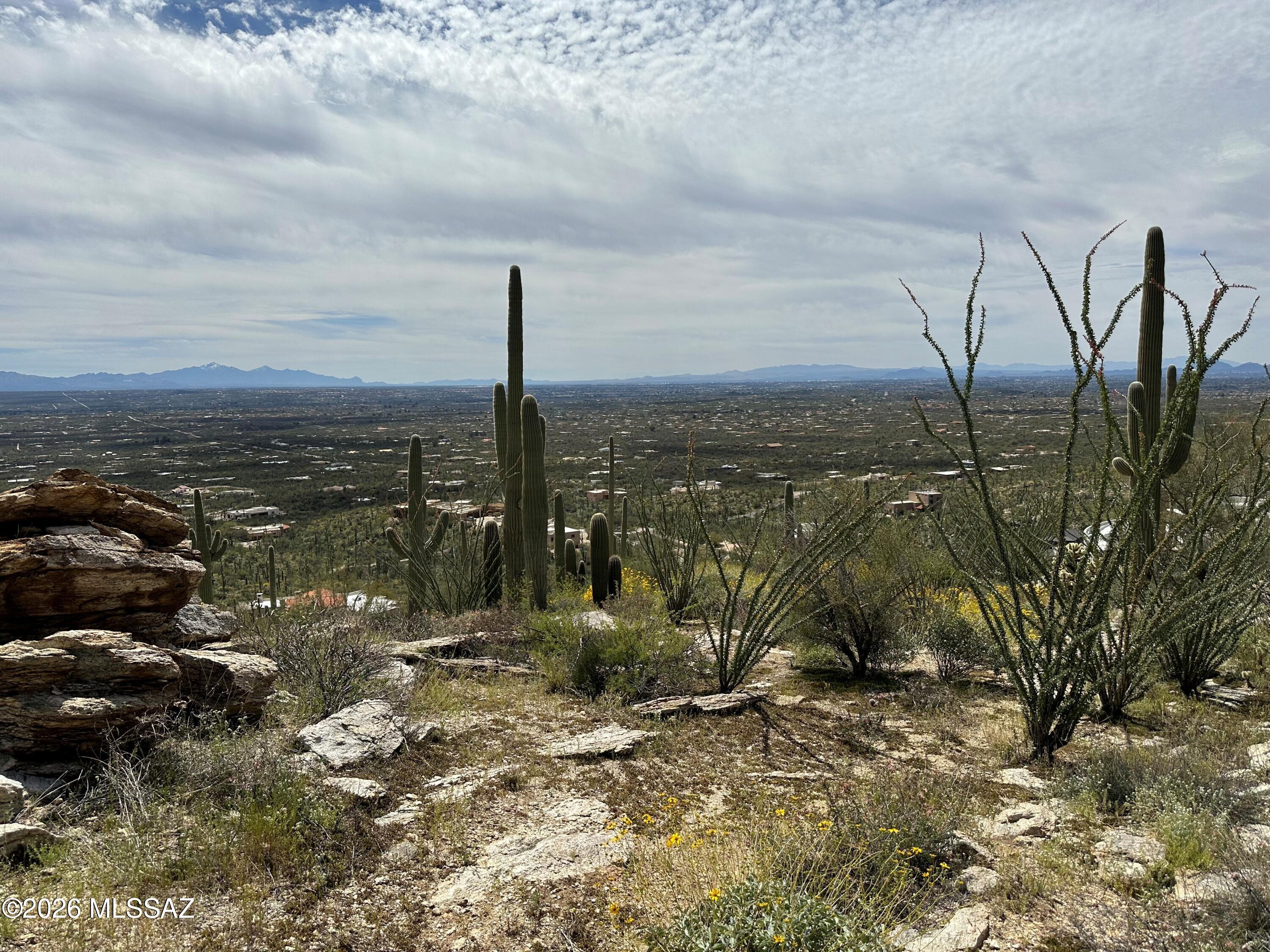 Milagrosa Hills (1-61) - Land