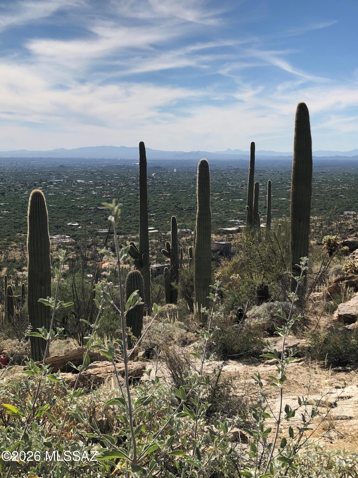 Milagrosa Hills (1-61) - Land