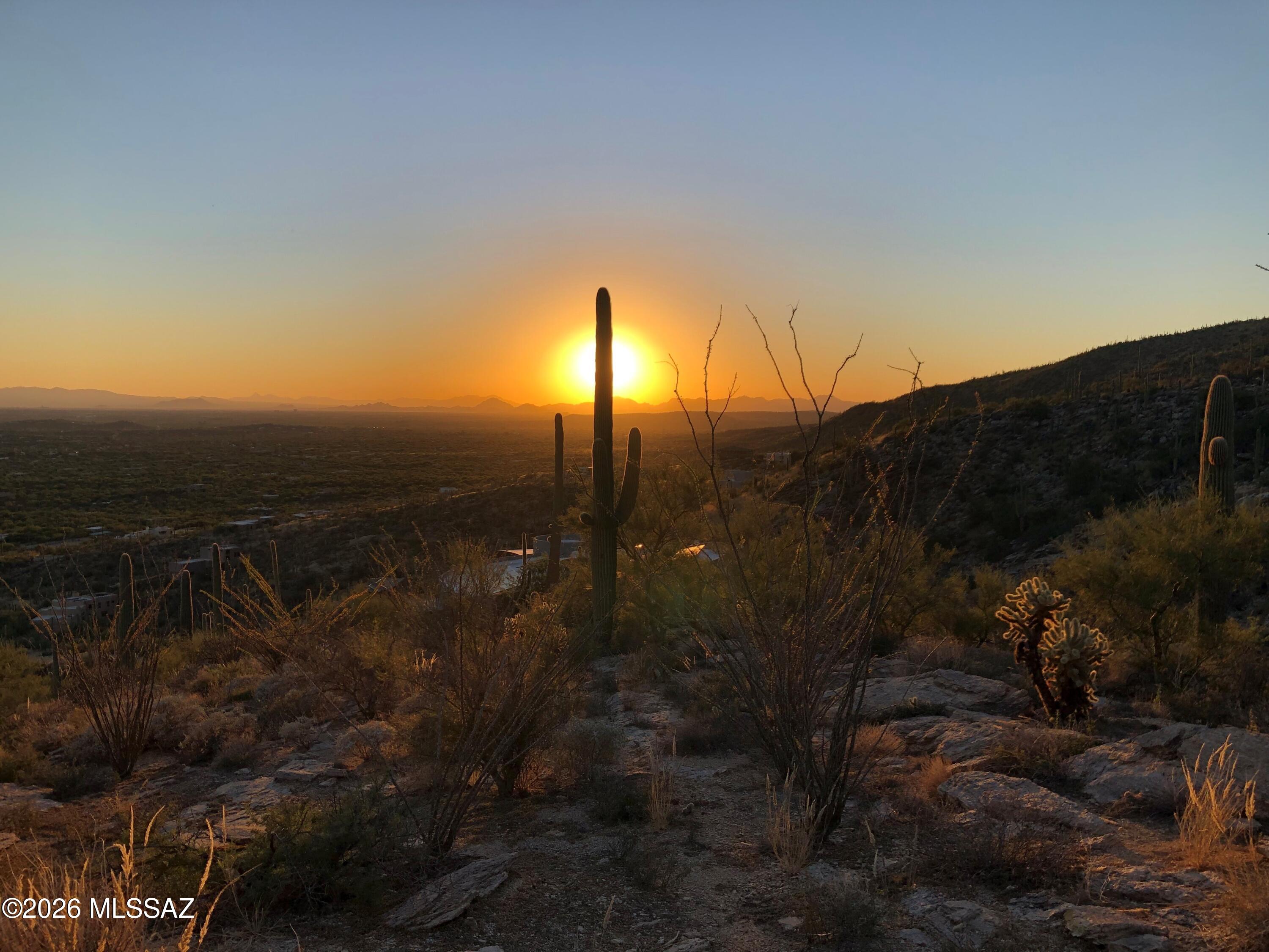 Milagrosa Hills (1-61) - Land