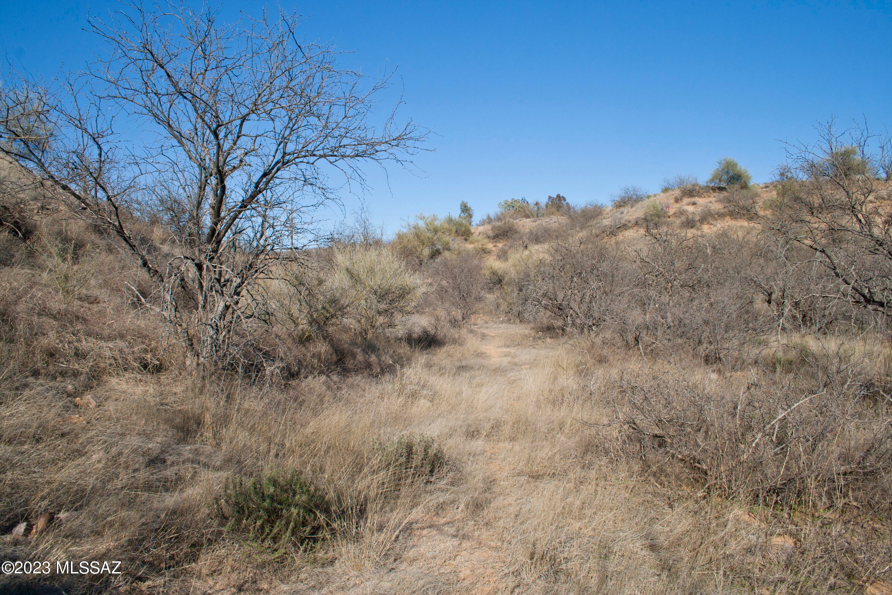 Mountain Vista Estates (1-38) - Land