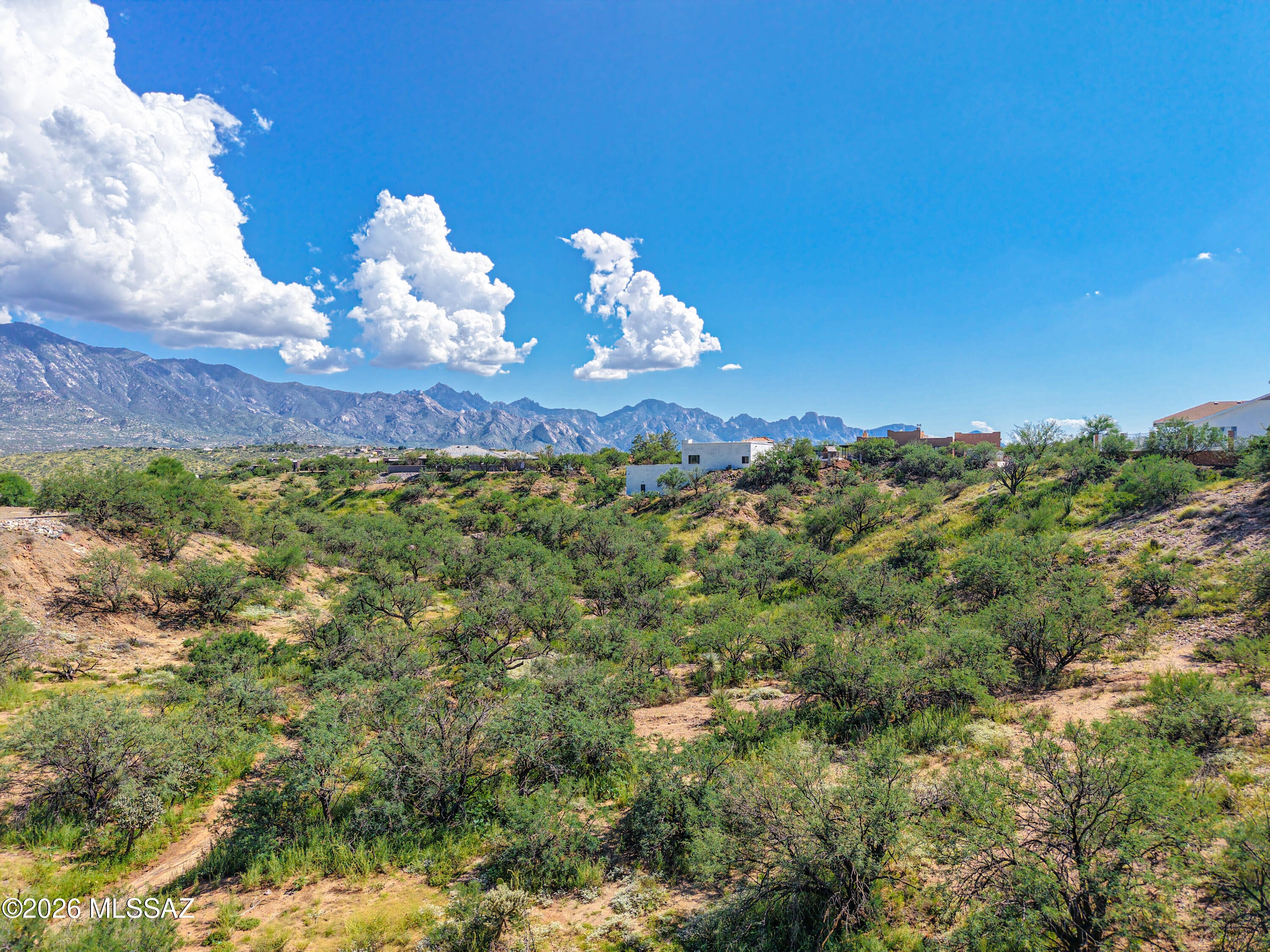 Featuring over 2 acres of land, this custom lot ensures you'll have no neighbors close by and allows you to create a truly private & unique residence.  Not only that, you can enjoy a framed view of the Catalina Mountains and nearby hillside views too! Nestled in a quiet neighborhood on the edge of Pima County, you'll be close to the conveniences of Catalina, yet tucked down away from nearby homes. This horse property contains plenty of space for a home and still provides areas for additional outbuildings, tack room, corrals, and more. With NO HOA fees, you'll enjoy the freedom to craft the estate you want with few limitations. One of the few custom home lots left in this established neighborhood and nearby to trails, shopping, and more.