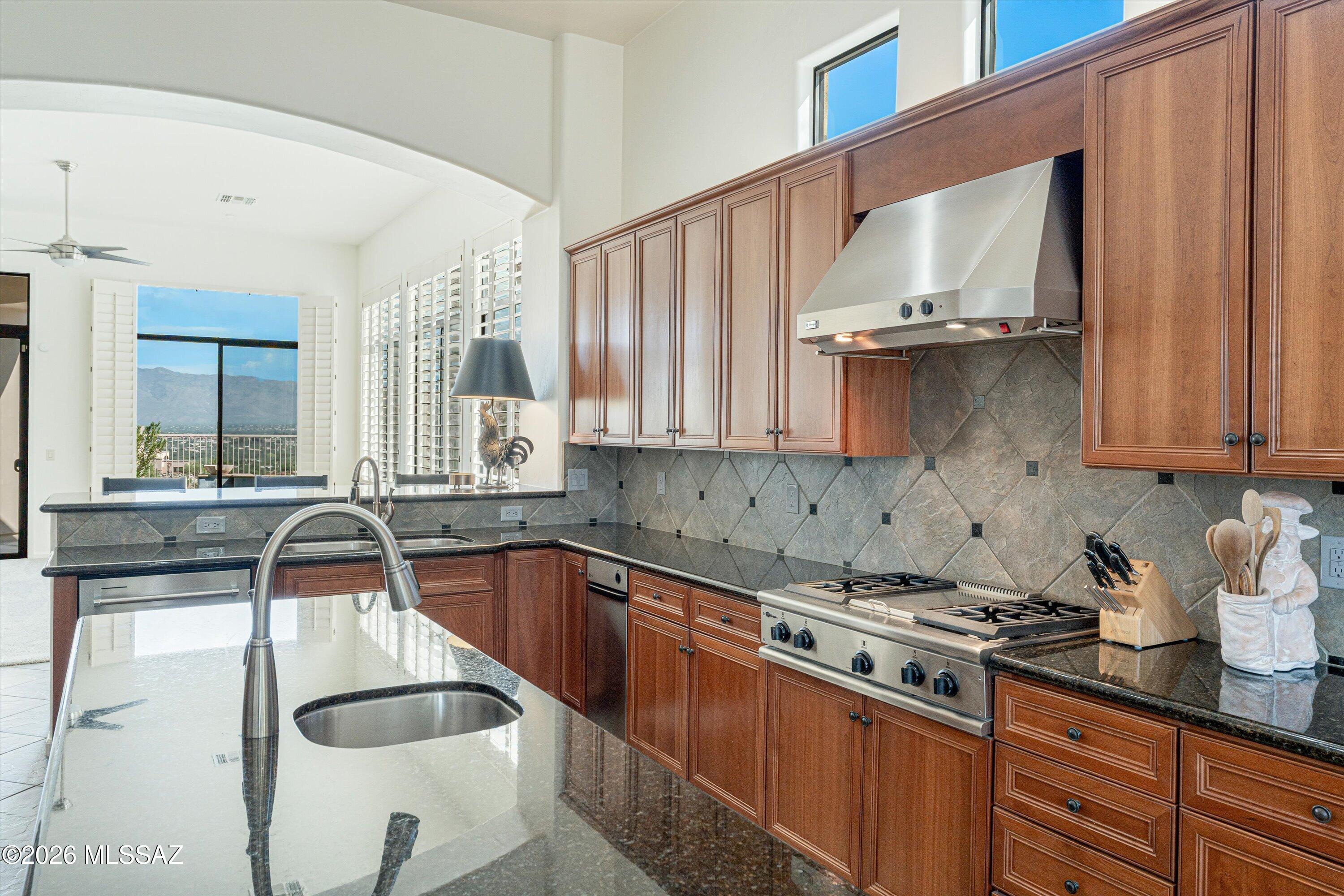 Sabino Mountain (1-290) - Residential
