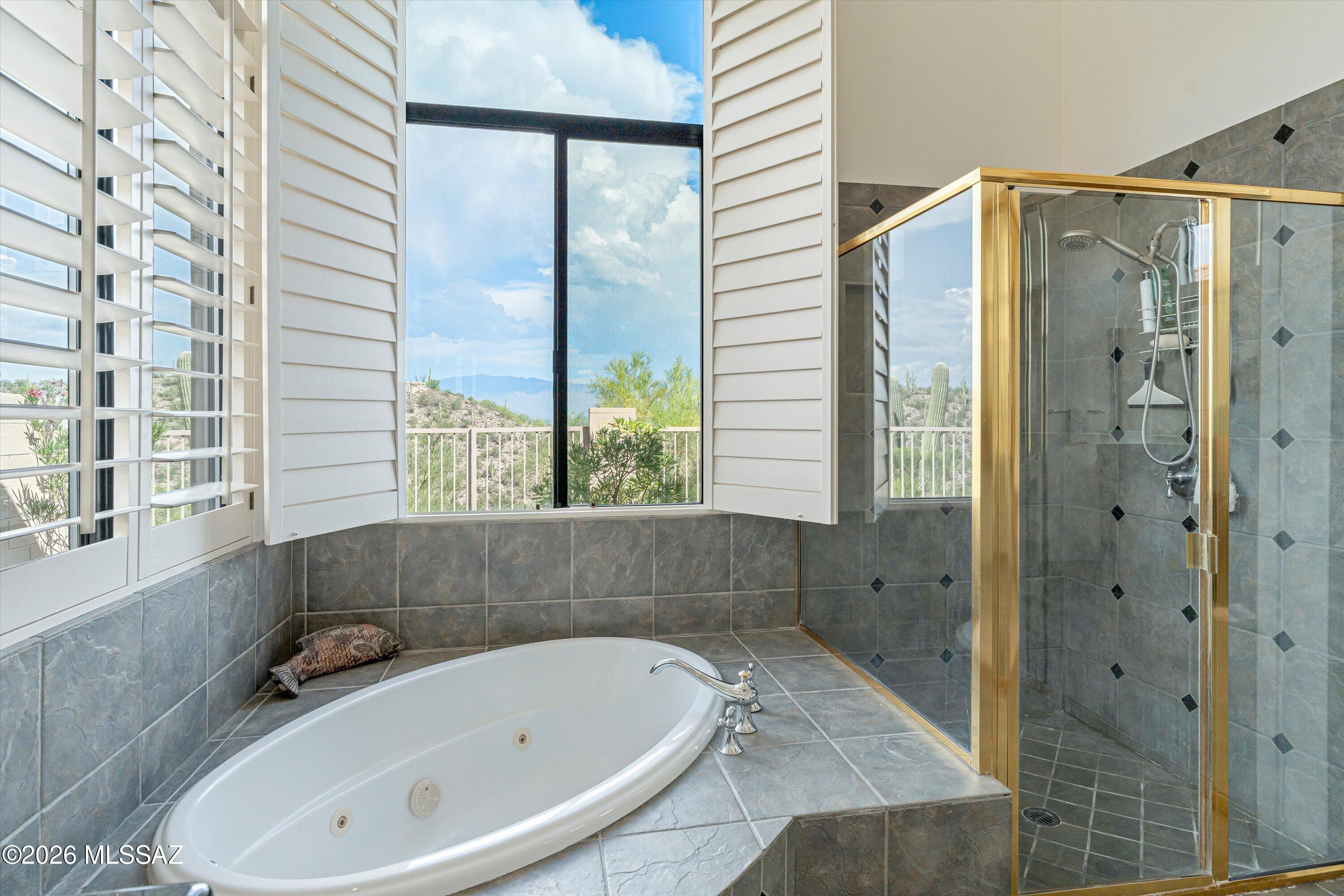 Sabino Mountain (1-290) - Residential