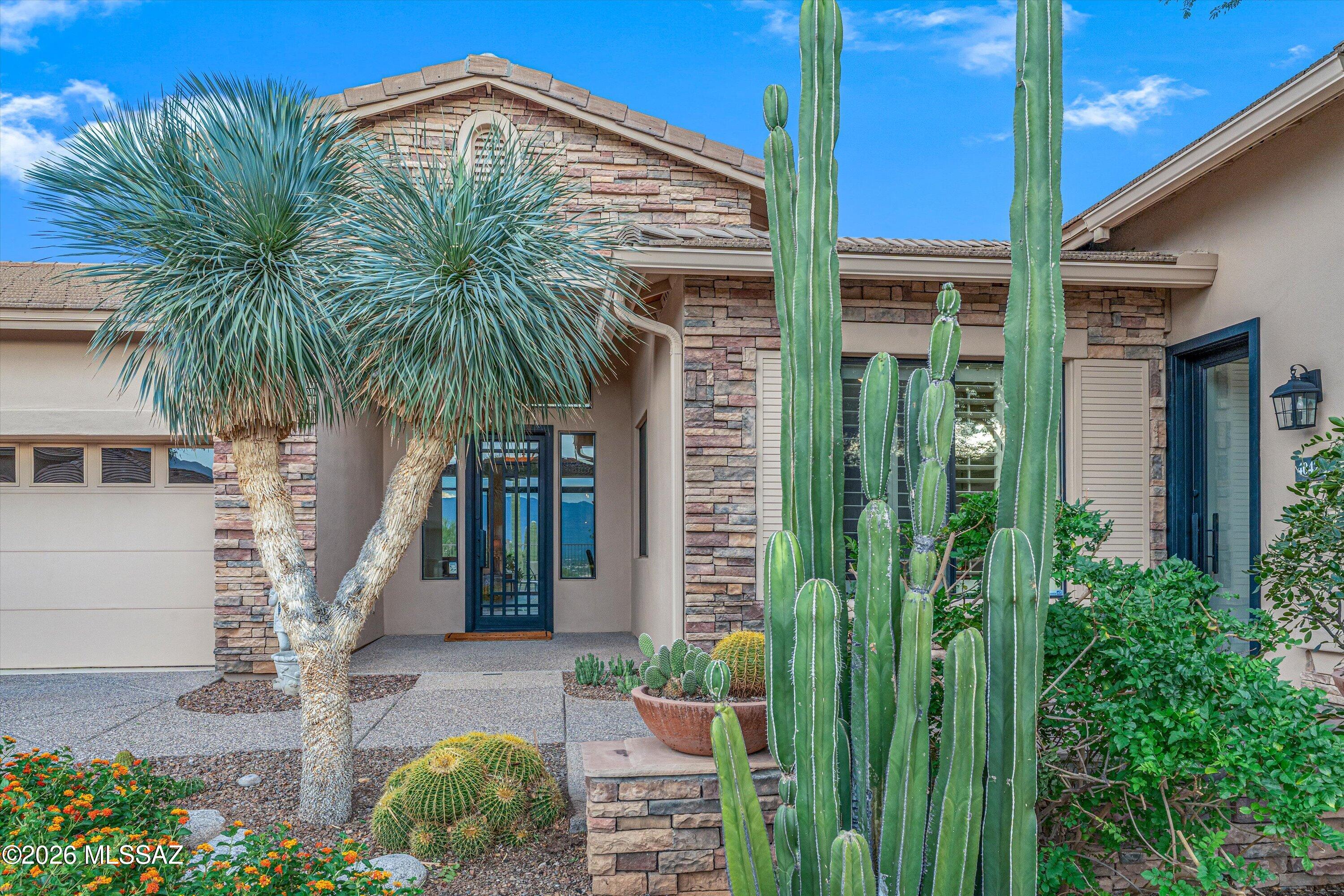 Sabino Mountain (1-290) - Residential