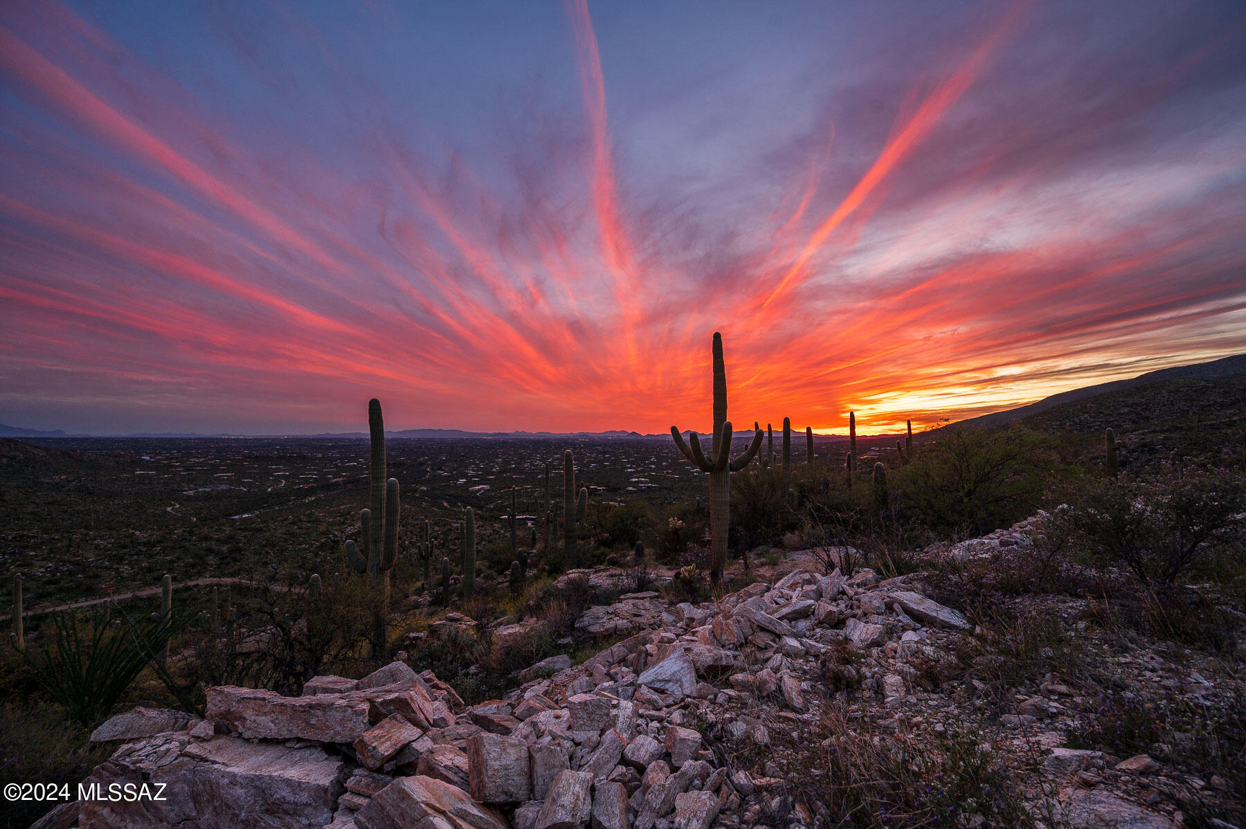 This beautiful premier lot ''B'' is in the Northeast corner of Tucson AZ in the highly popular Tanque Verde Valley. Perched on the mountainside of the Catalina Mountains, this lot feature spectacular views of mountains, City lights, sunsets & sunrises, stars and much more. Tucked between the beautiful Molino Canyon & Aqua Caliente Canyon w/ wildlife, saguaros & desert landscaping, gorgeous rock features, hiking trails and more. This lot has a proposed building pad that is graded. On file, there are surveys & more, an extensive file.  This 3.34 acre lot has breath taking views that is best to appreciate around sunset.  Once you experience this land in person, you will fall in love & see why it is so unique & incredible!  Call for an appointment today.  There are 4 other lots for sale. A Lot is also known as K Lot. See videos for a tour. 
This lot is 3+ acres and has a good building pad.  
There is surveys plotting out home location and more.
Nice little canyon of East side of this lot.