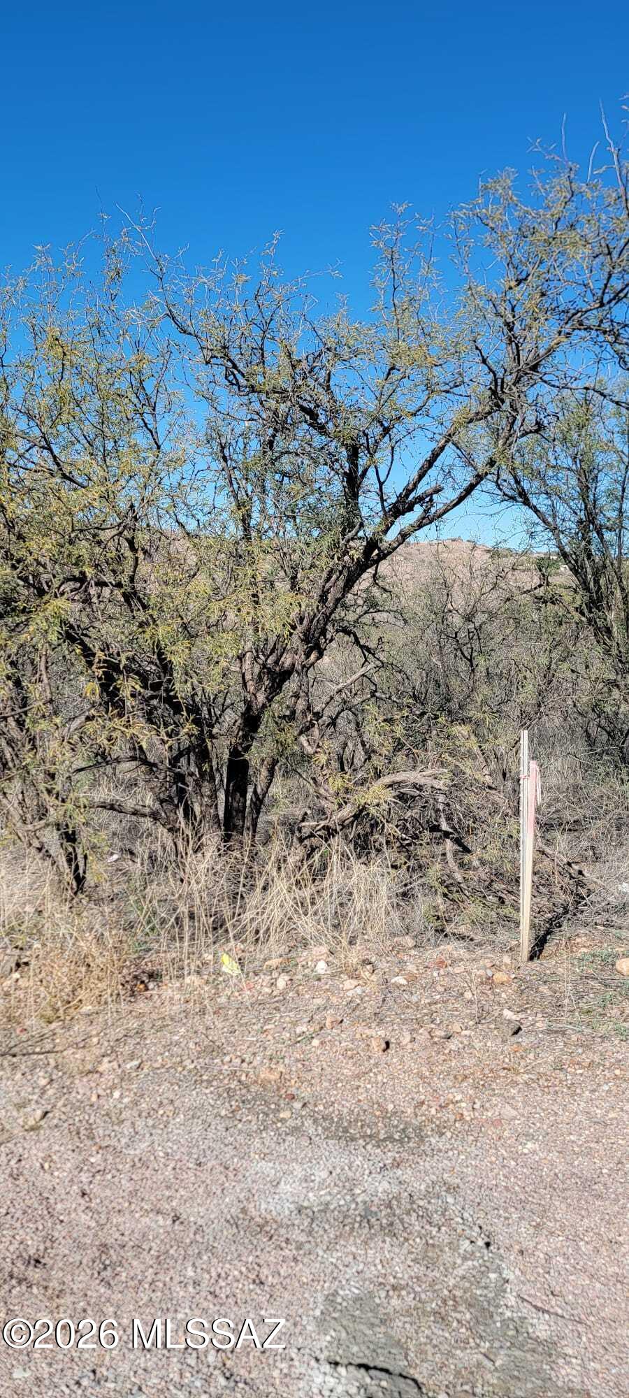 Rio Rico Ranchettes 9 - Land