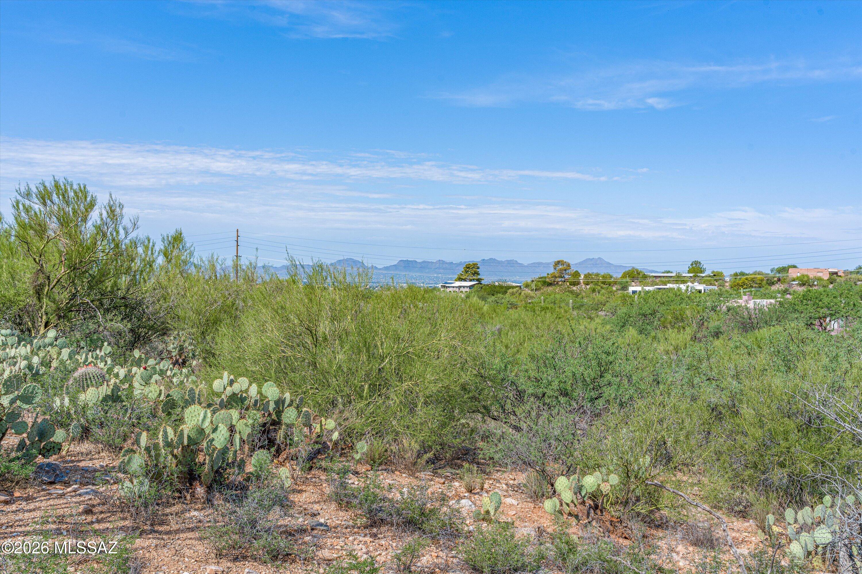 Shadow Ridge North NO.2 (7-46) - Land