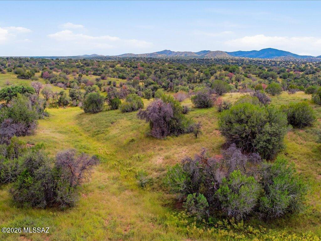 Tunnel Springs - Land