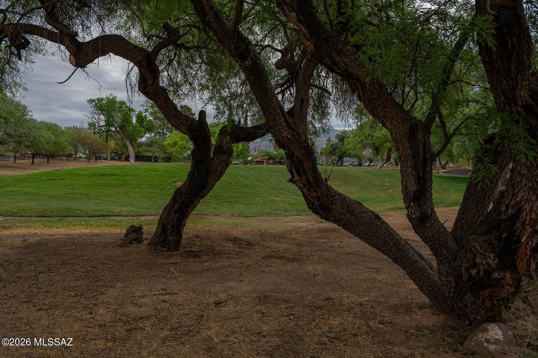 Forty Niners Country Club Estates - Land