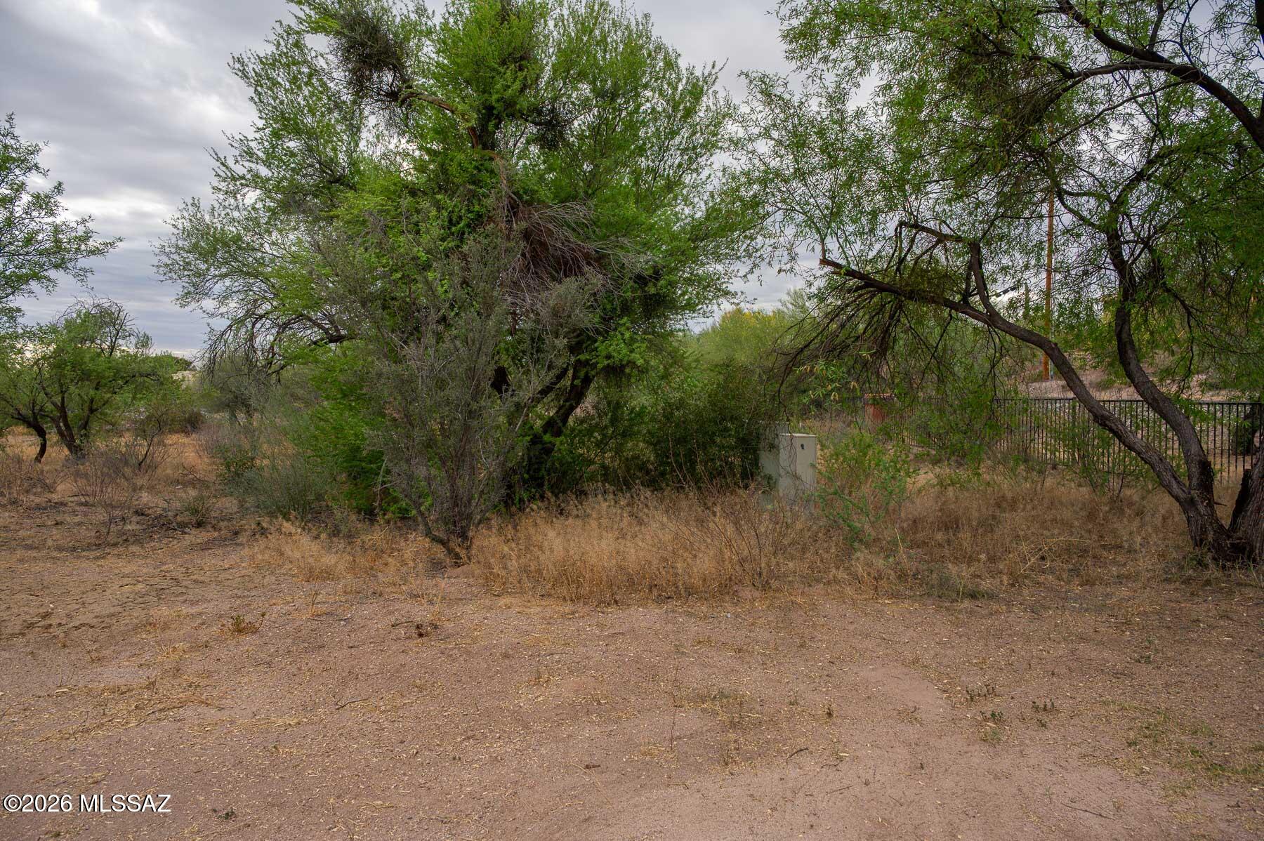 Forty Niners Country Club Estates - Land