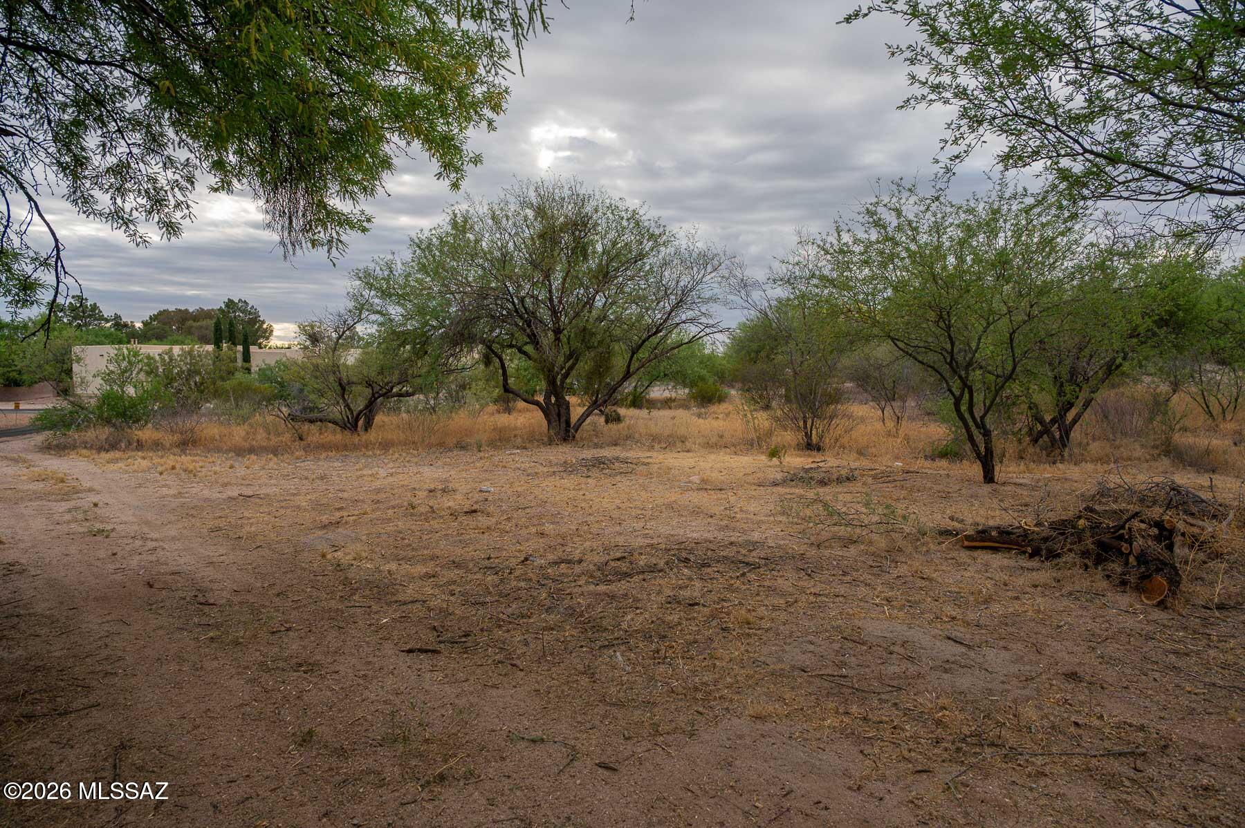 Forty Niners Country Club Estates - Land