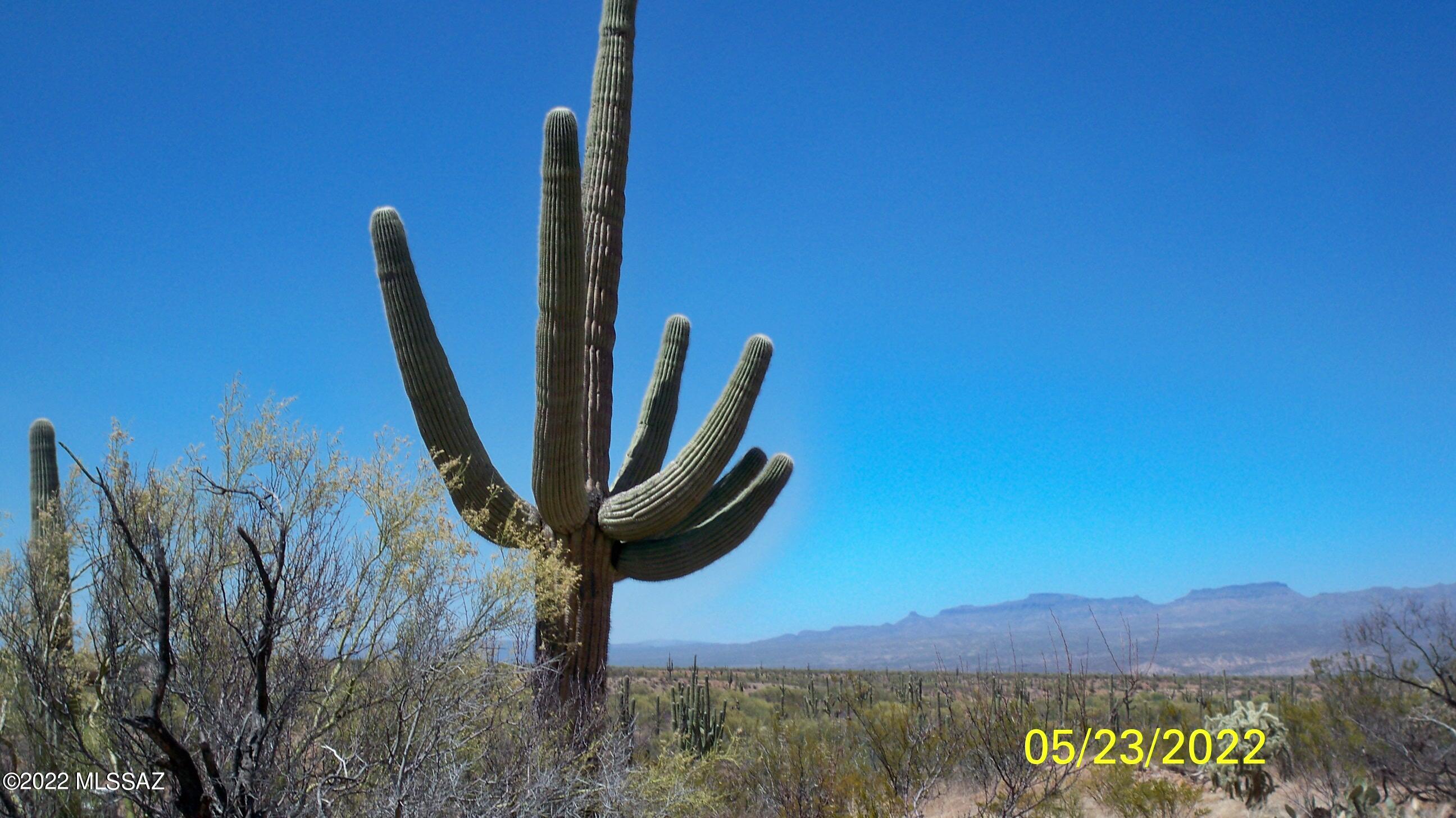 Visit this secluded desert retreat of  5 acres with mature desert vegetation , abundant saguaros, majestic views in all directions, a private getaway for camping and peace and quiet!  Plan  a day trip and come visit and explore this unique part of nature!