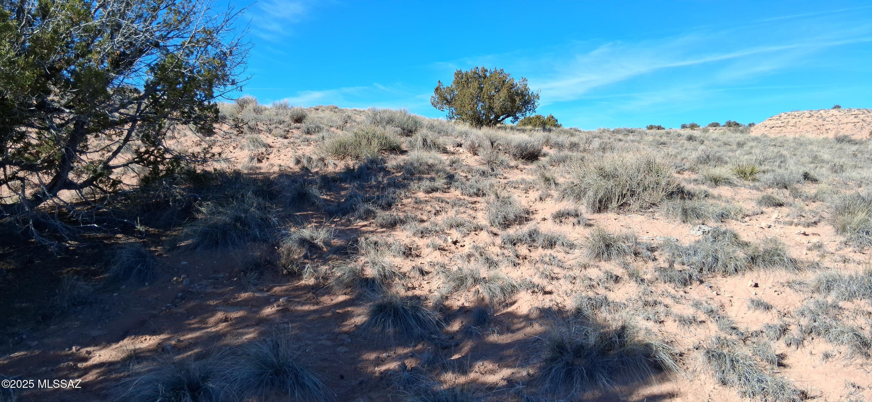 Beautiful views and lots of privacy. Enjoy the peace and quiet on your own 3 acre property in Northeast Arizona. Mostly flat property with gentle rolling hills. Bring your toy and live in harmony. Enjoy the sunrise and sunsets from your dream location. Don't miss out